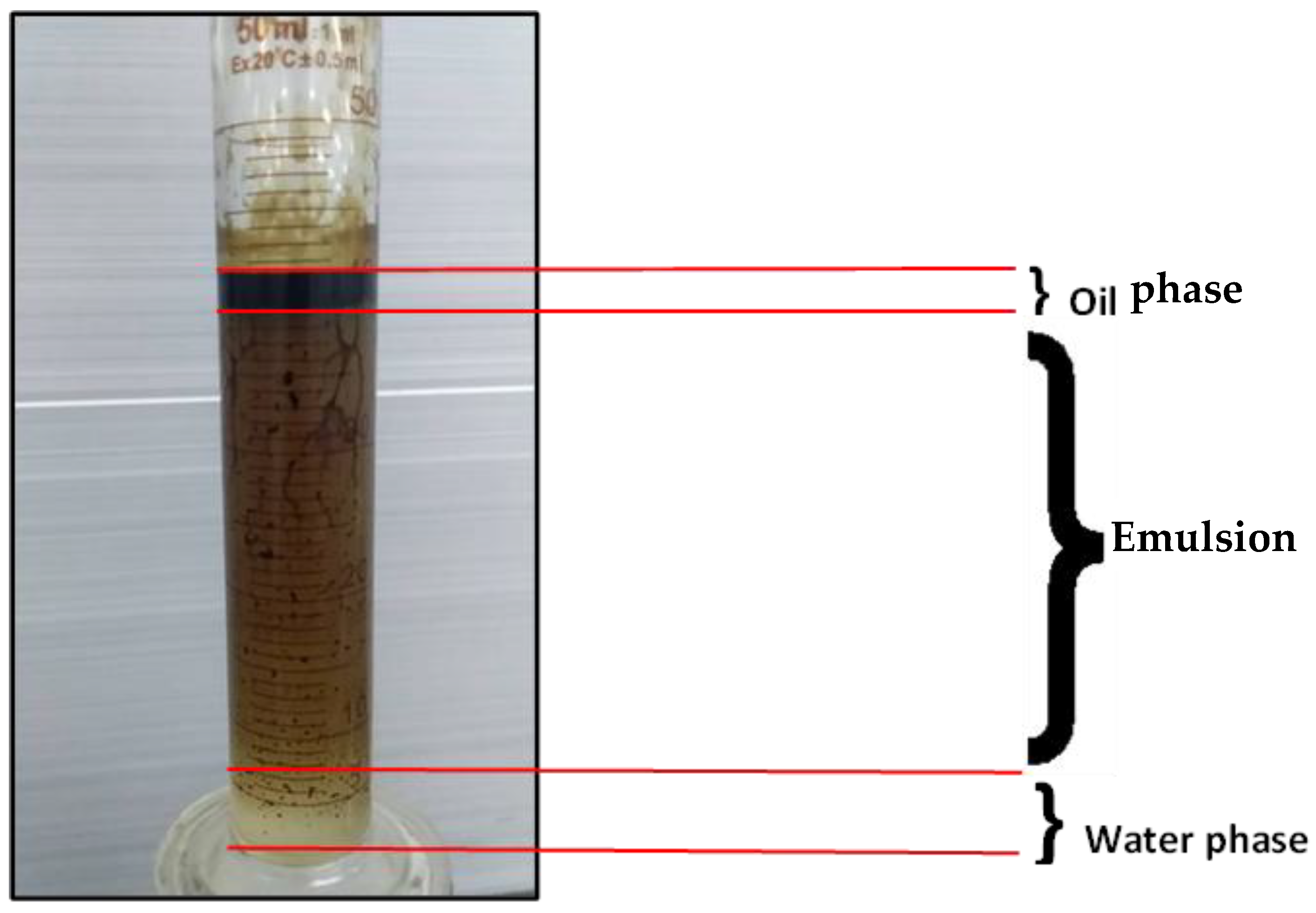 Molecules 28 04614 g014 Molecules 28 04614 g014