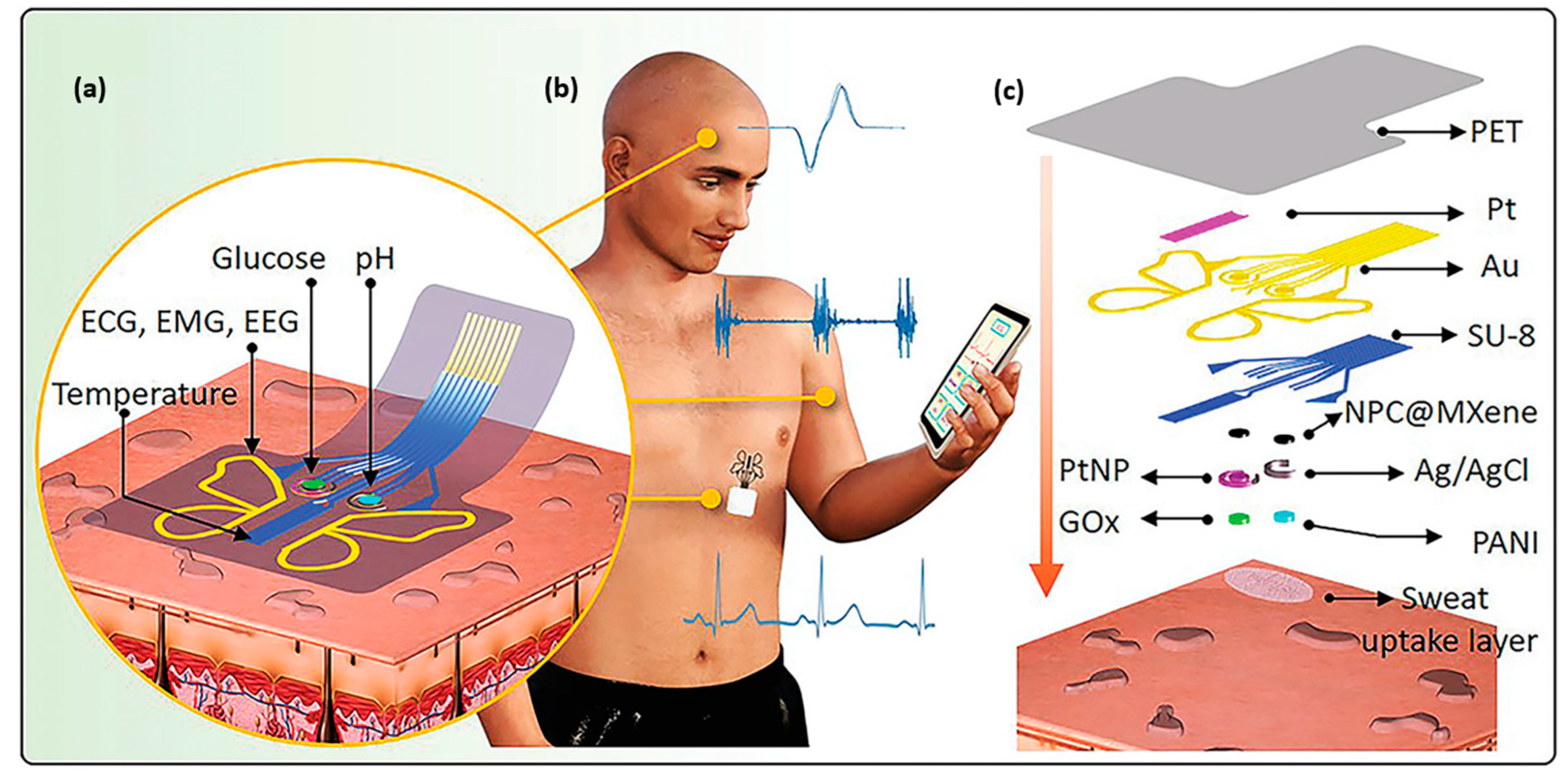 Molecules 28 04617 g005 Molecules 28 04617 g005