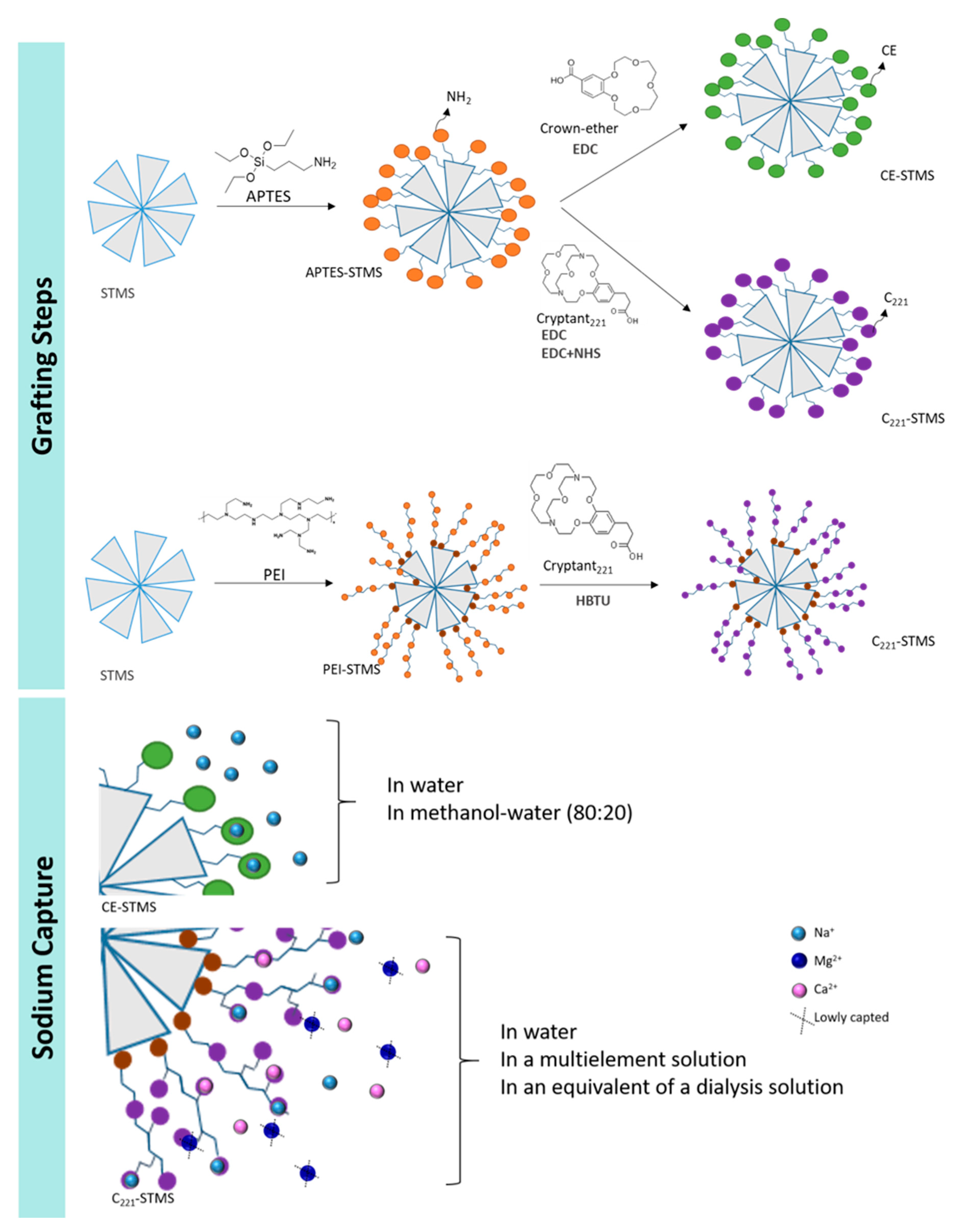 Molecules 28 04622 sch001