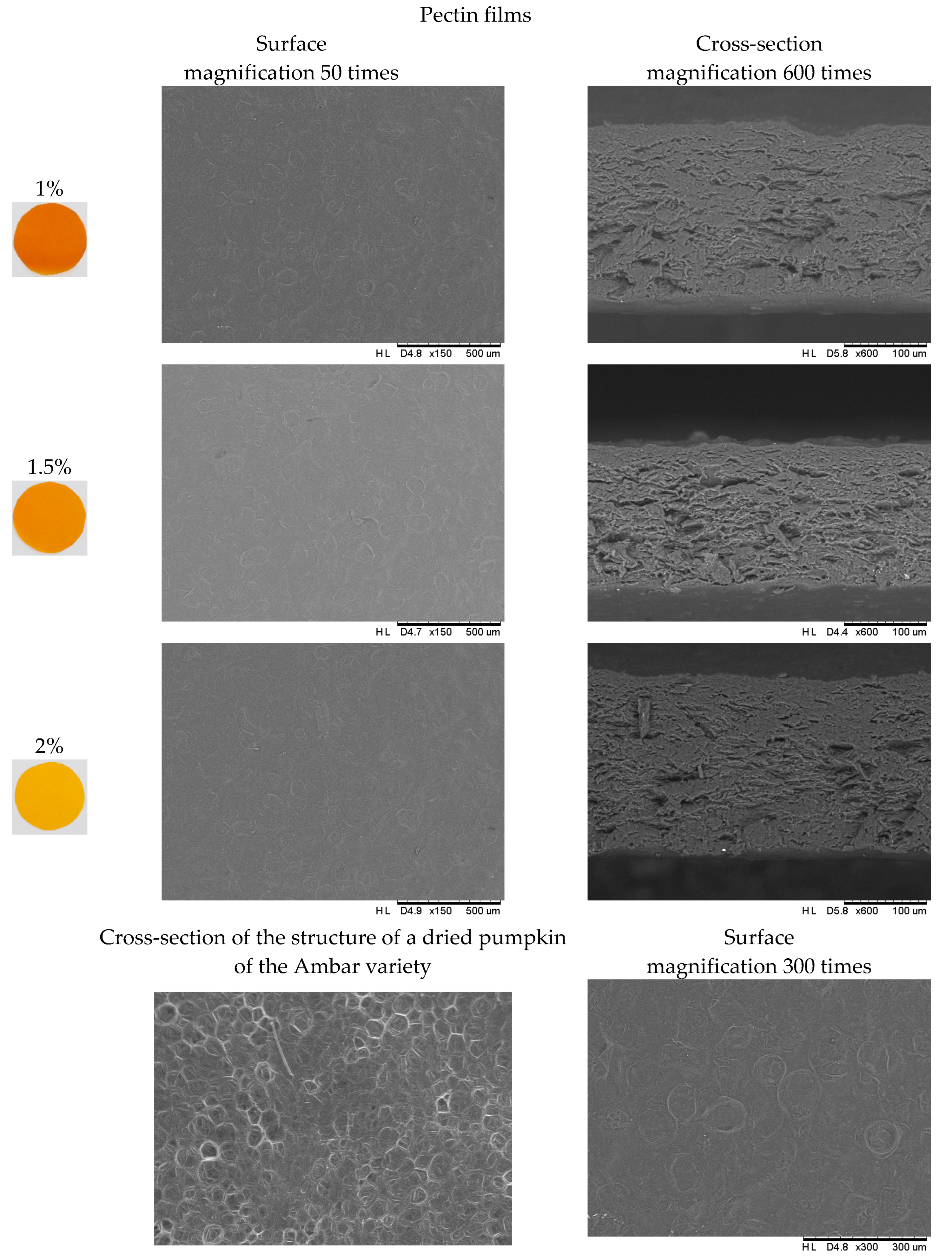 Molecules 28 04626 g004b Molecules 28 04626 g004b