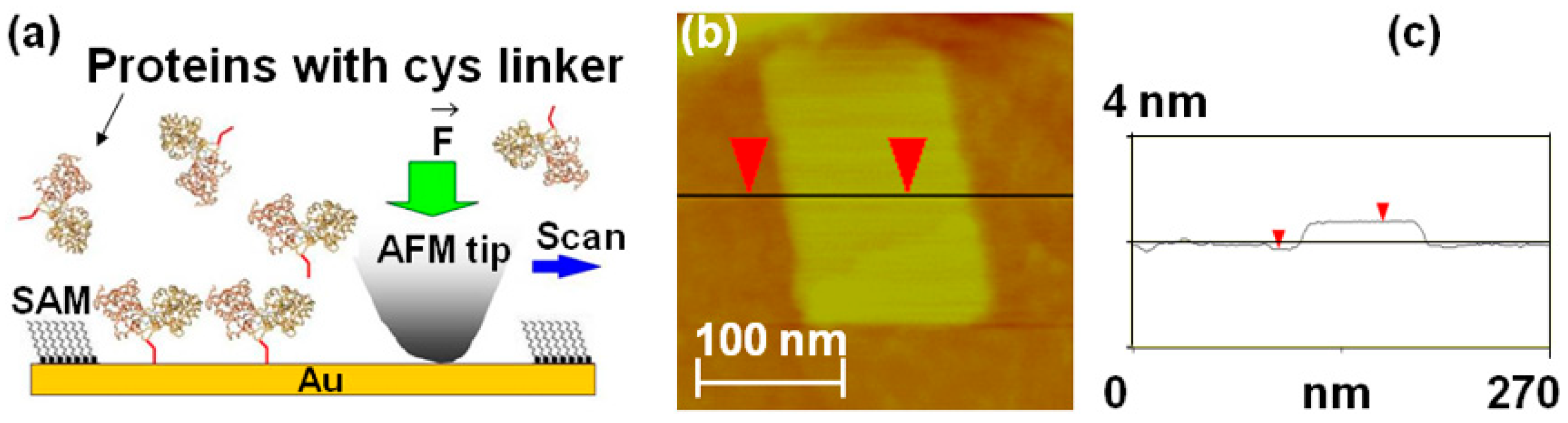 Molecules 28 04632 g002 Molecules 28 04632 g002