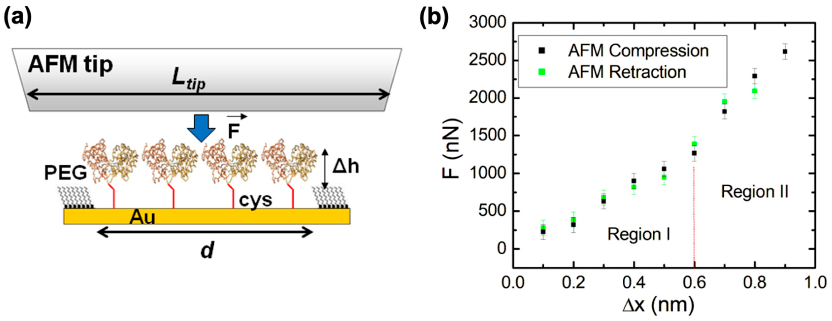 Molecules 28 04632 g003 Molecules 28 04632 g003