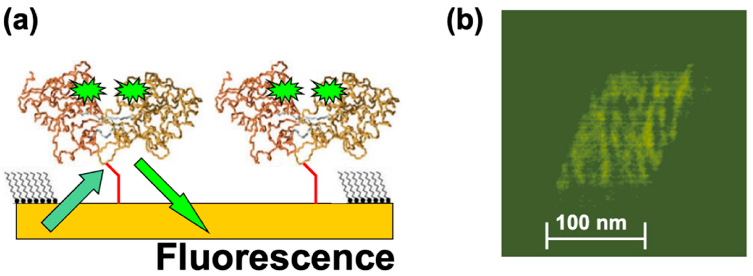 Molecules 28 04632 g004 Molecules 28 04632 g004