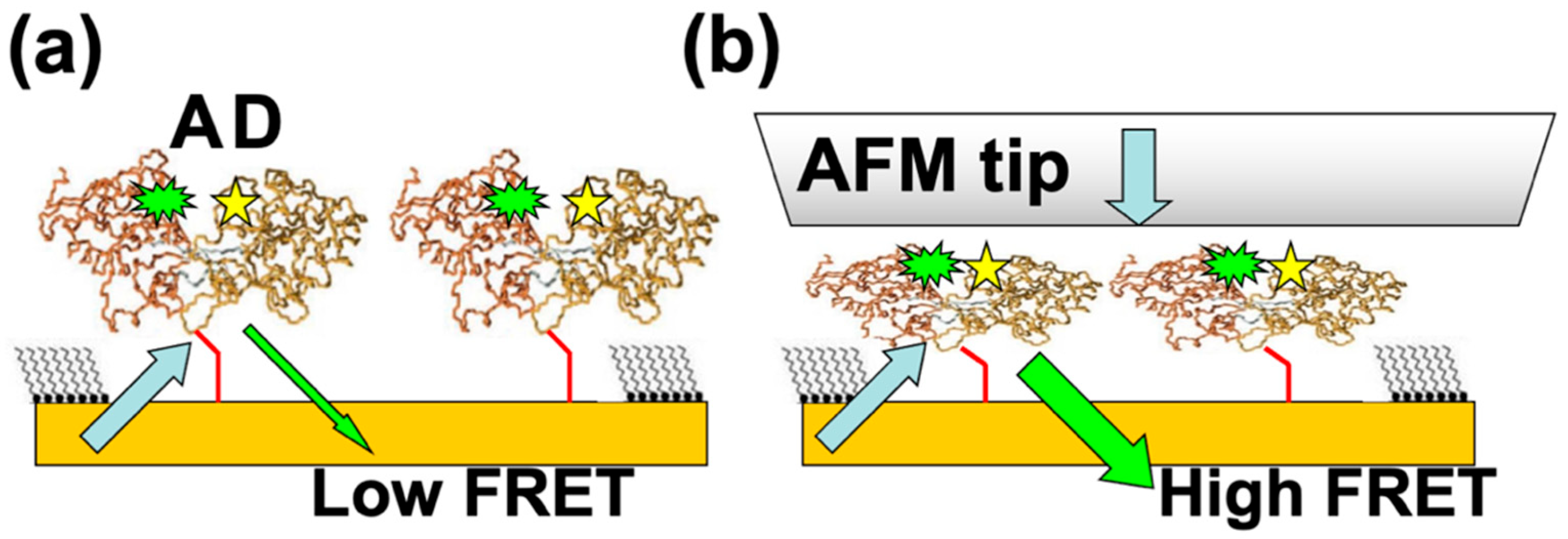 Molecules 28 04632 g005 Molecules 28 04632 g005