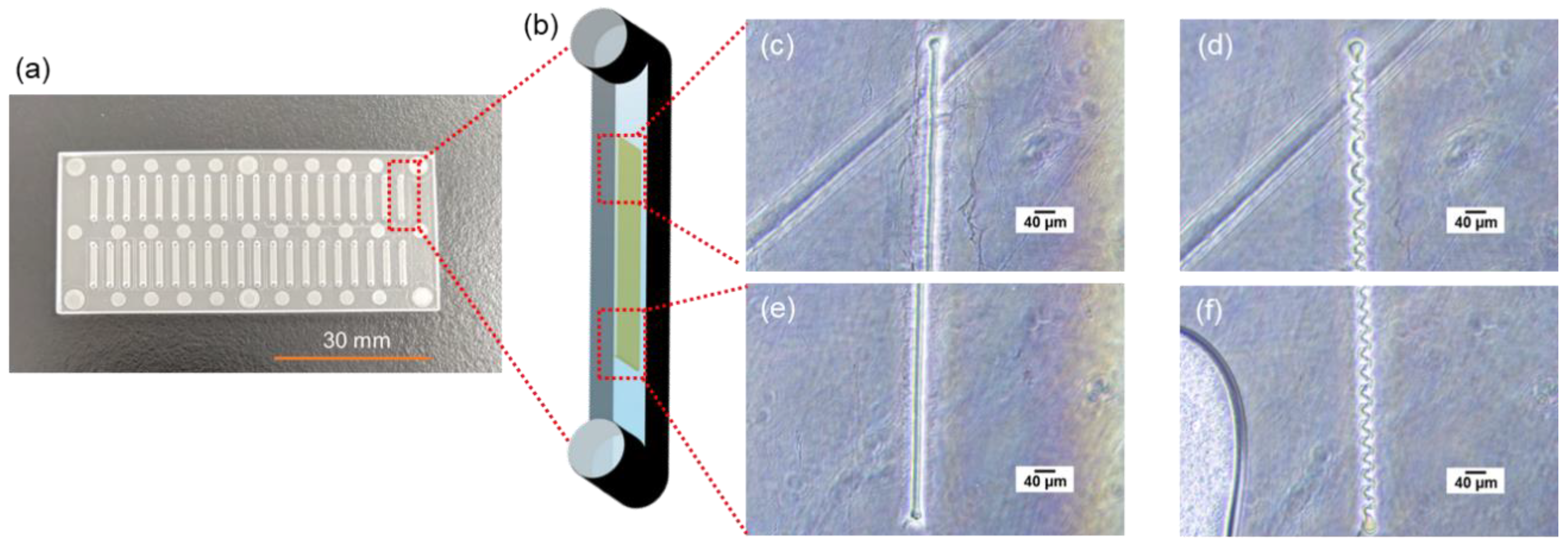 Molecules 28 04635 g002