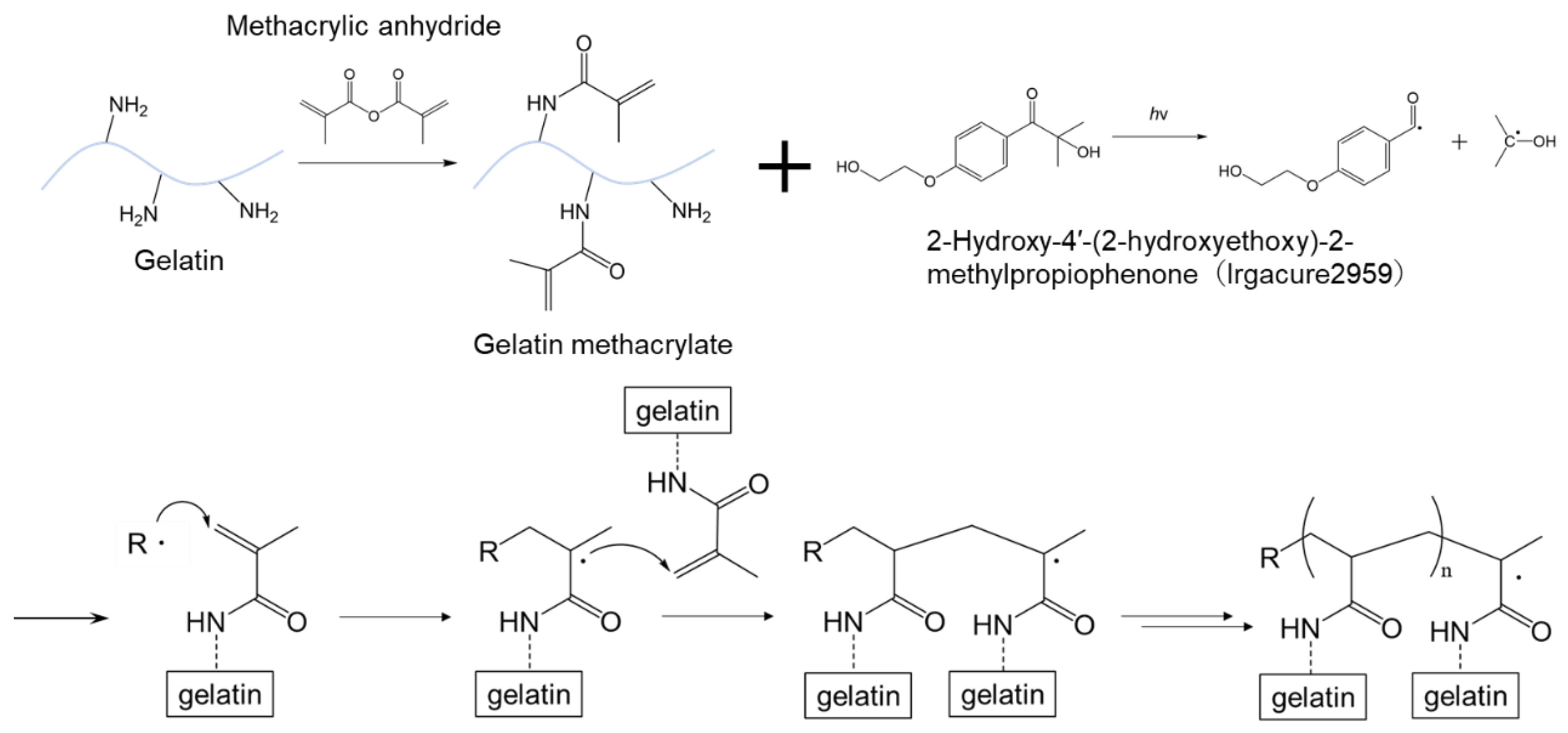 Molecules 28 04635 g004