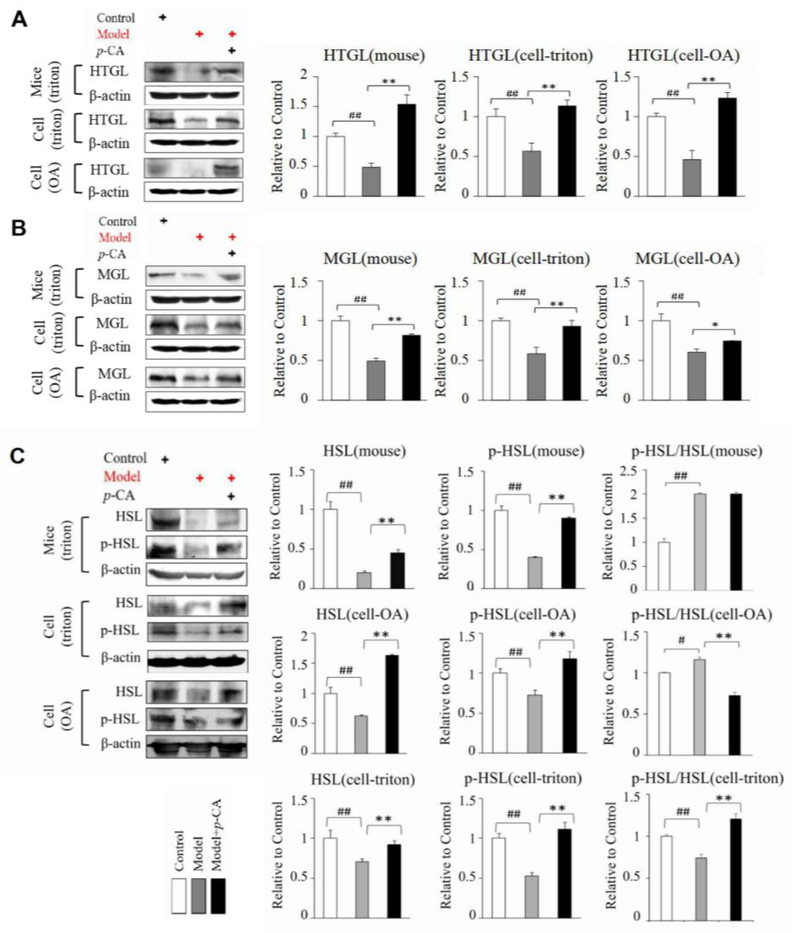 Molecules 28 04641 g002 Molecules 28 04641 g002