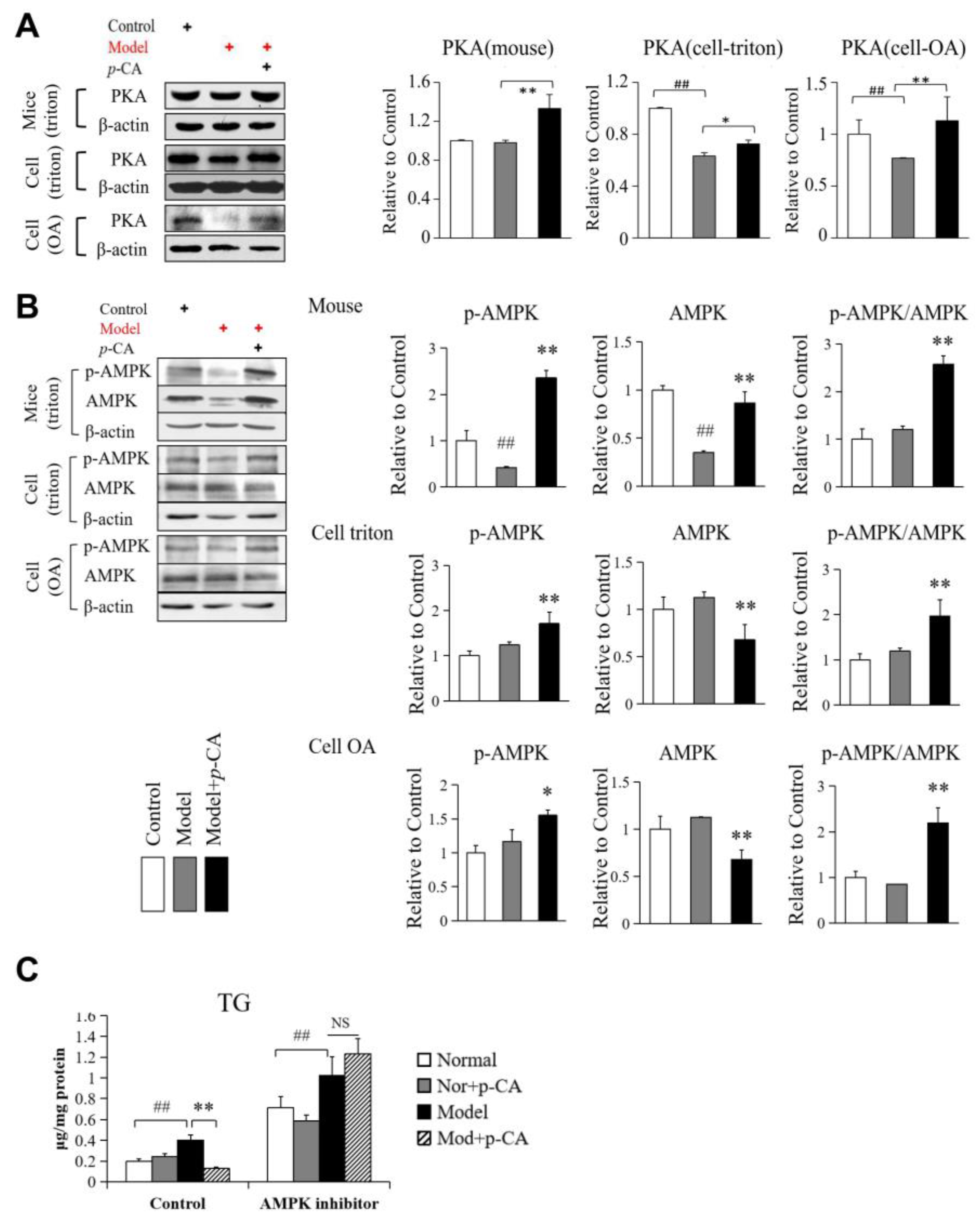 Molecules 28 04641 g005 Molecules 28 04641 g005