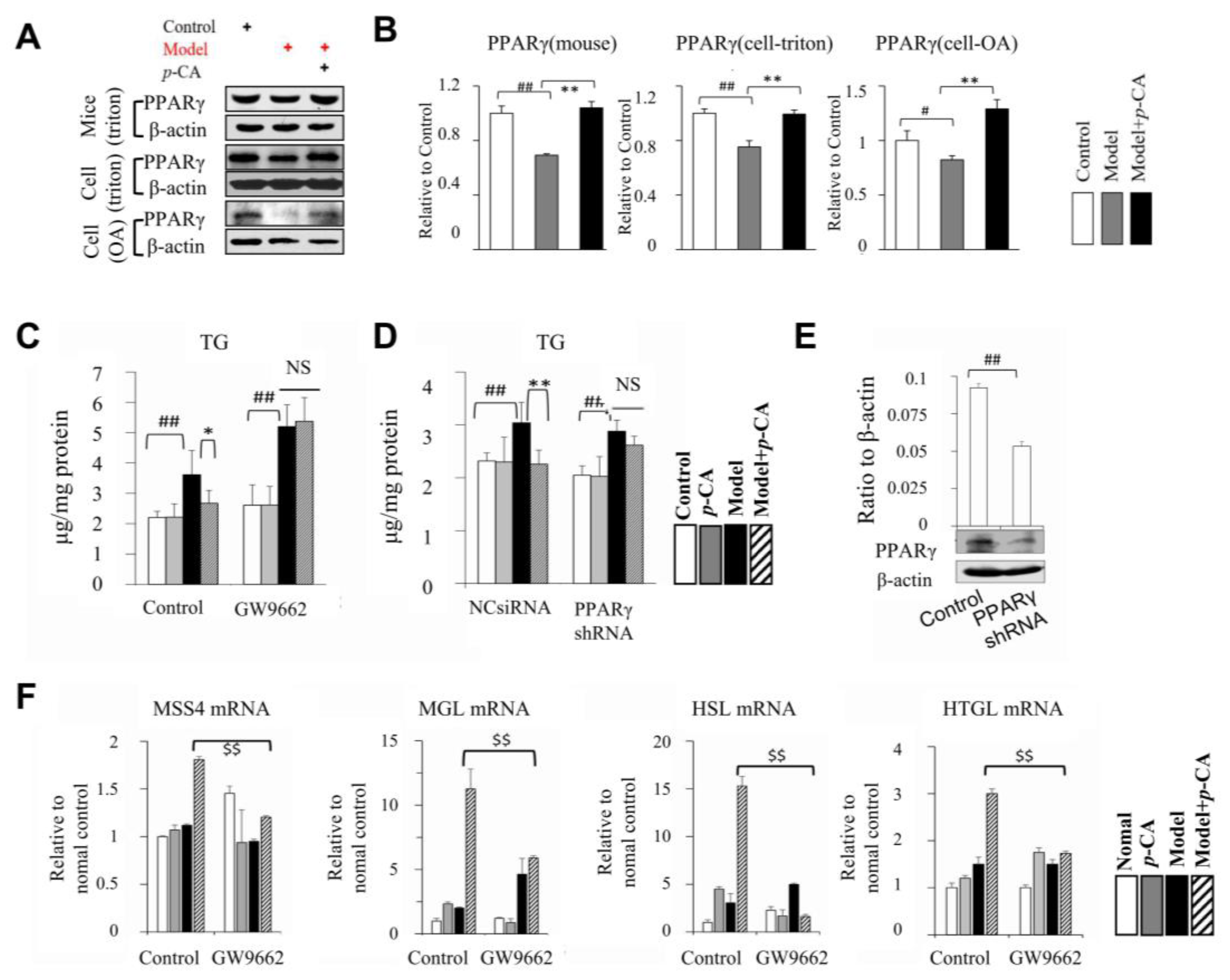 Molecules 28 04641 g006 Molecules 28 04641 g006