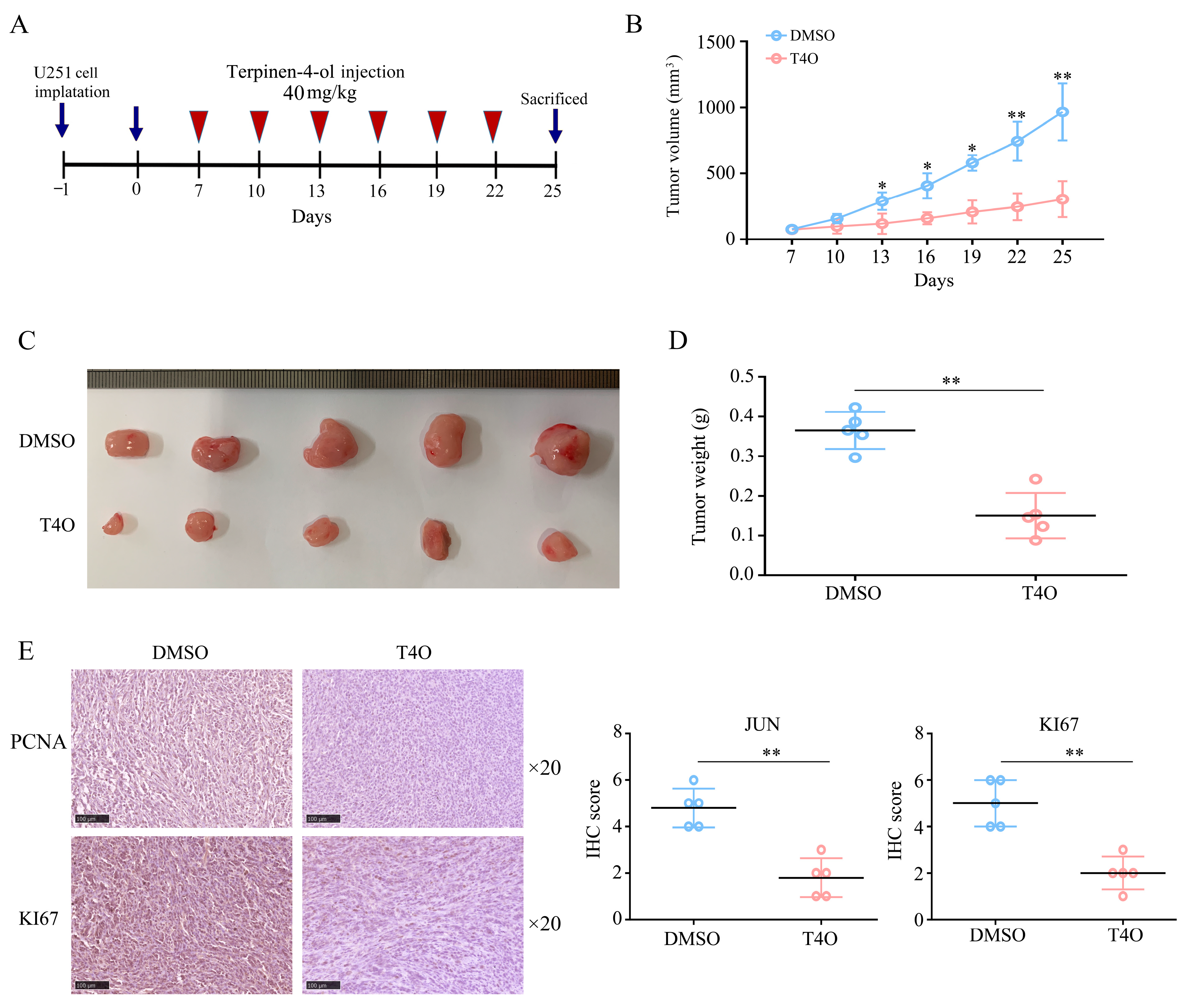 Molecules 28 04643 g002