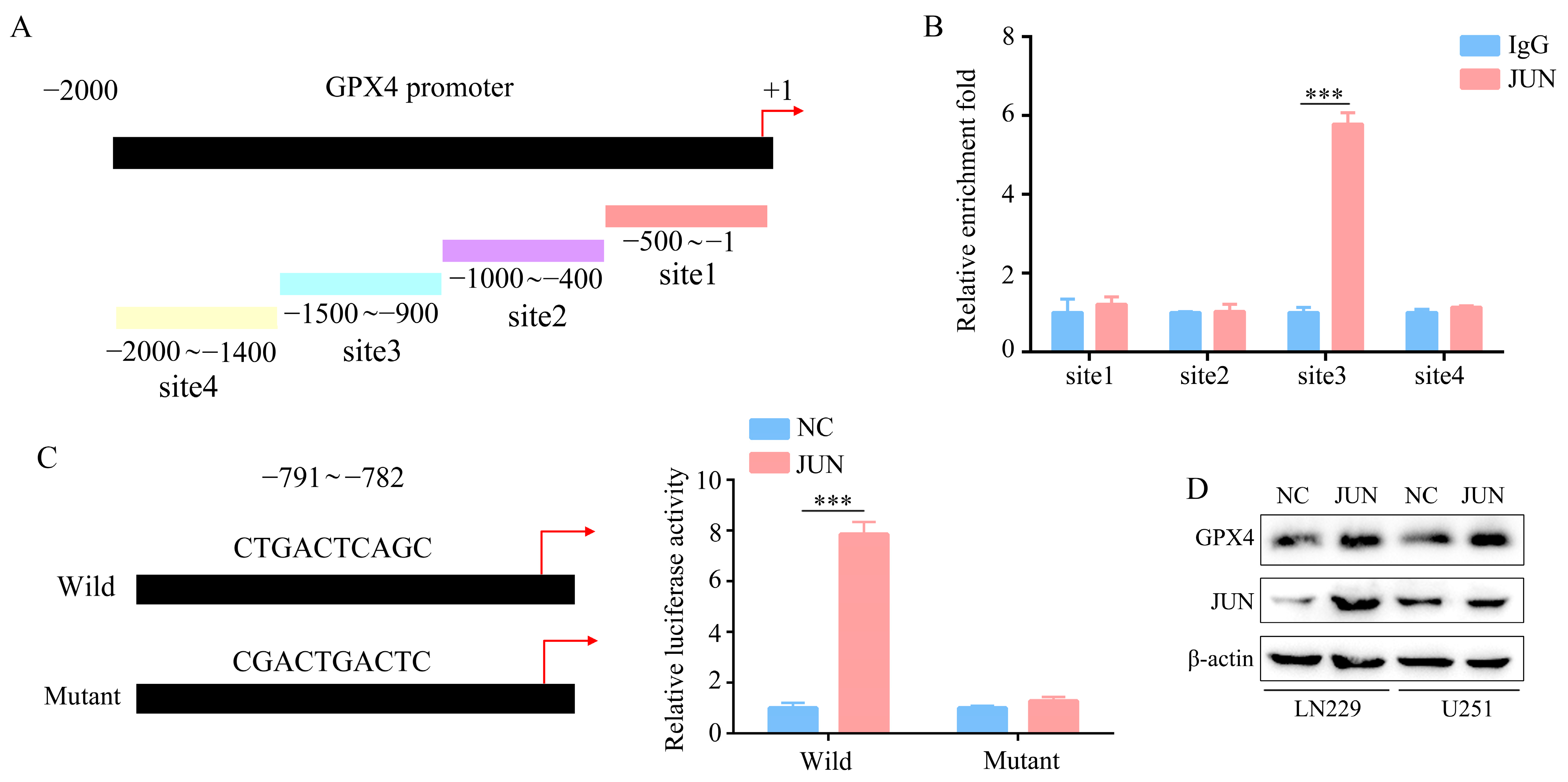 Molecules 28 04643 g005