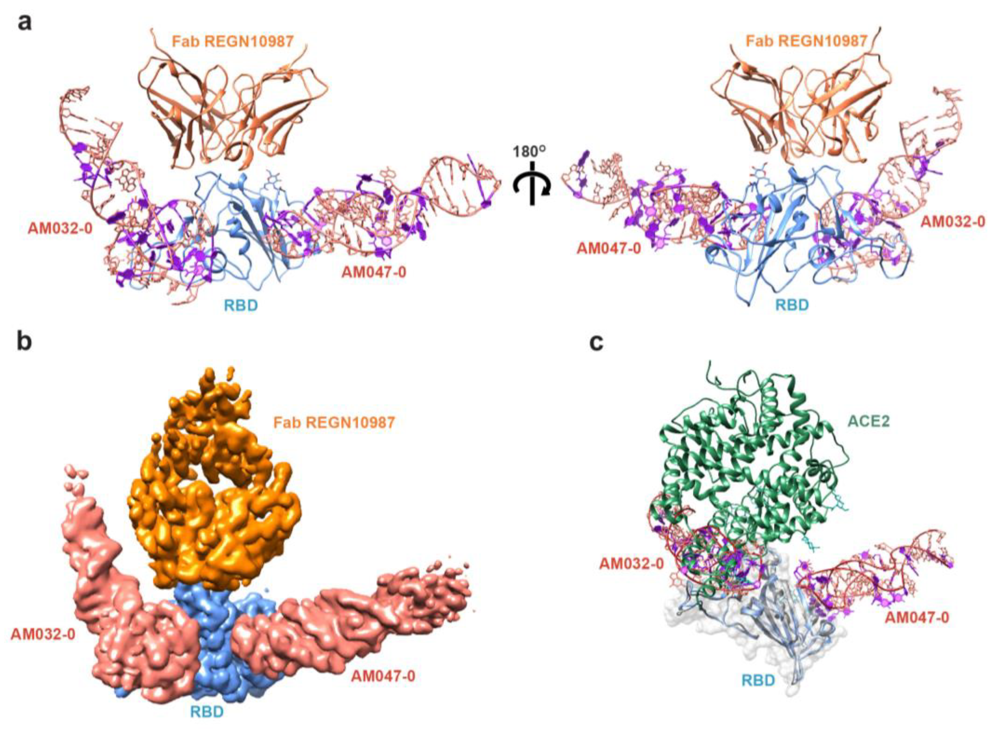 Molecules 28 04645 g002
