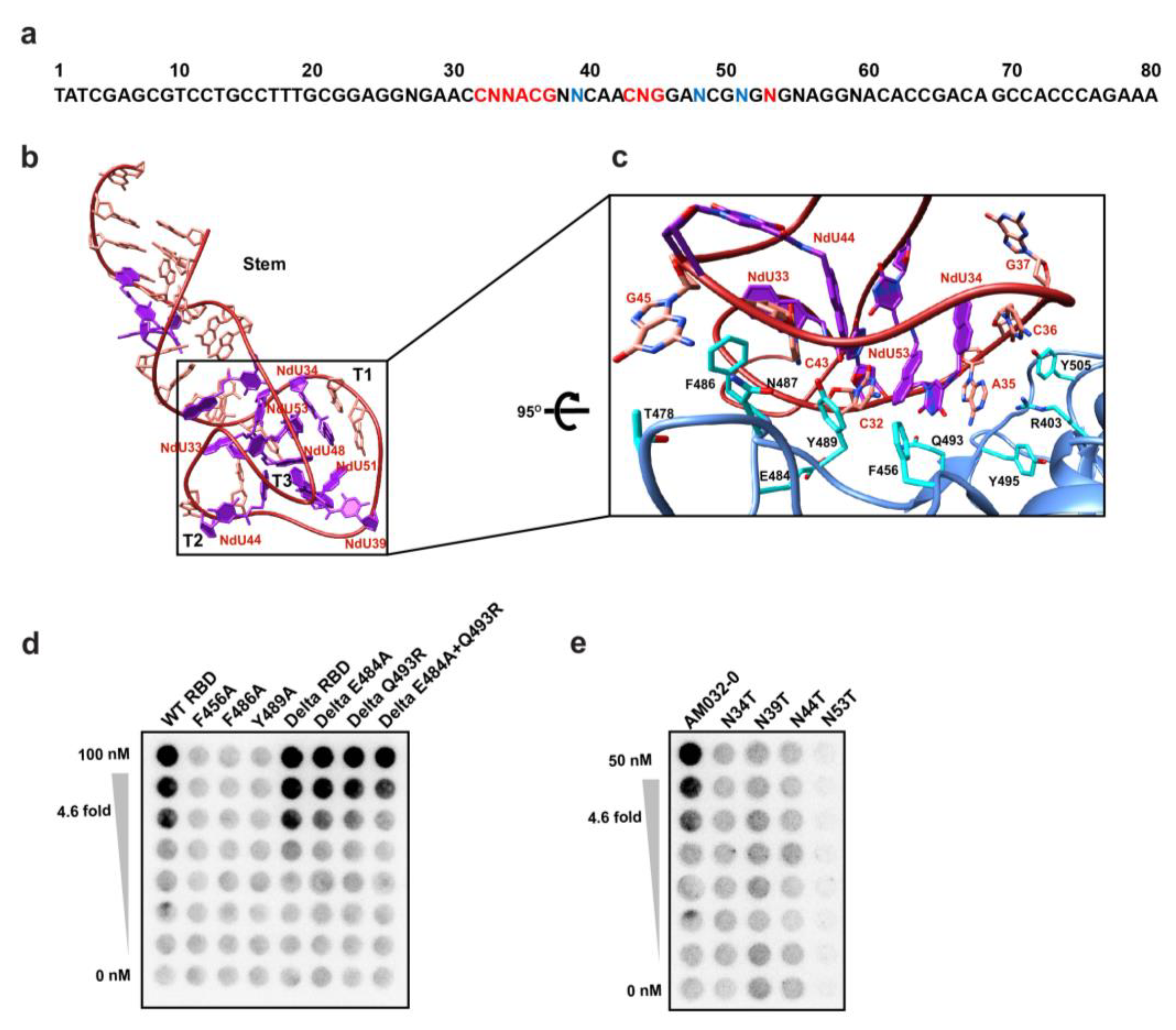 Molecules 28 04645 g003