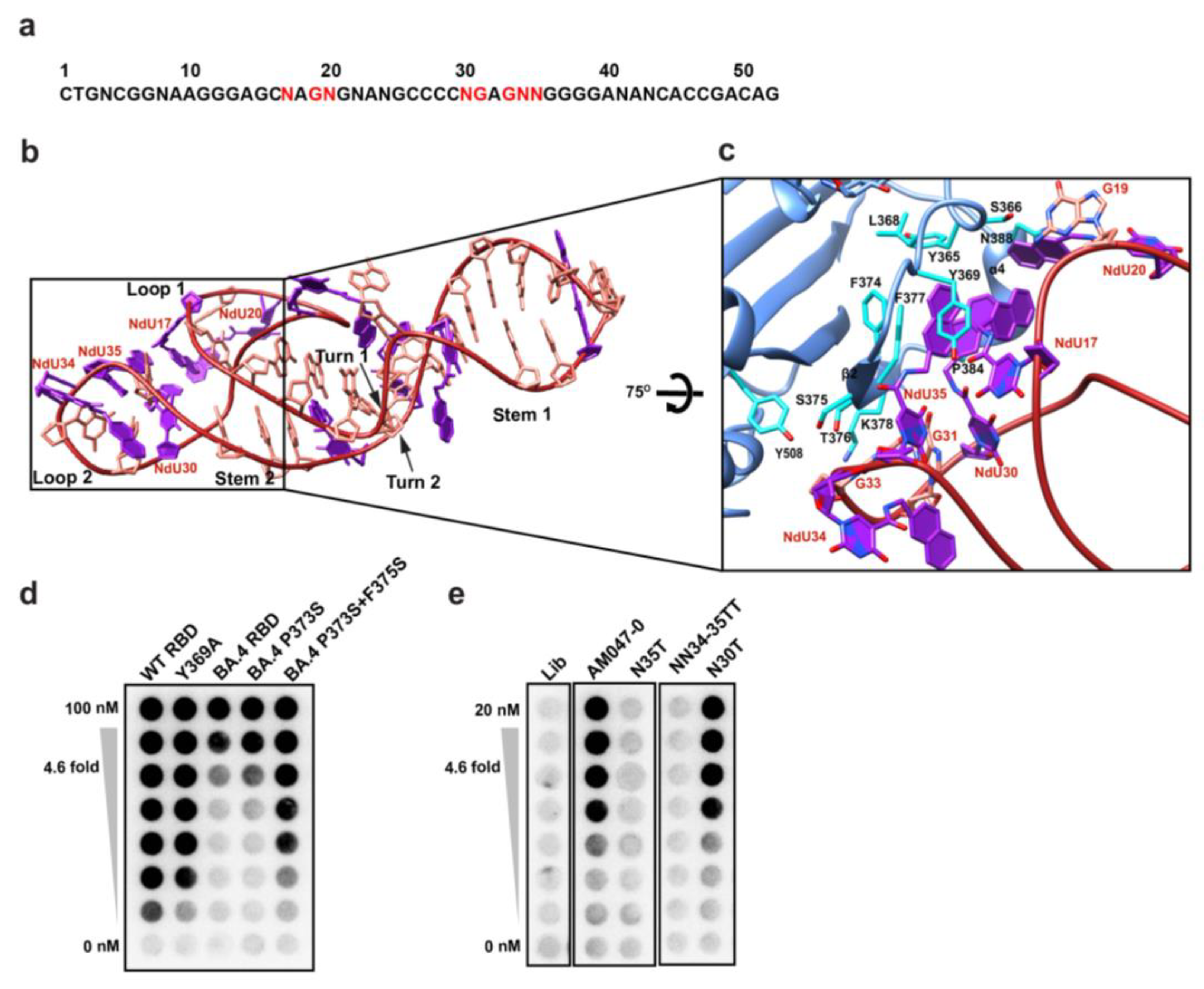 Molecules 28 04645 g004