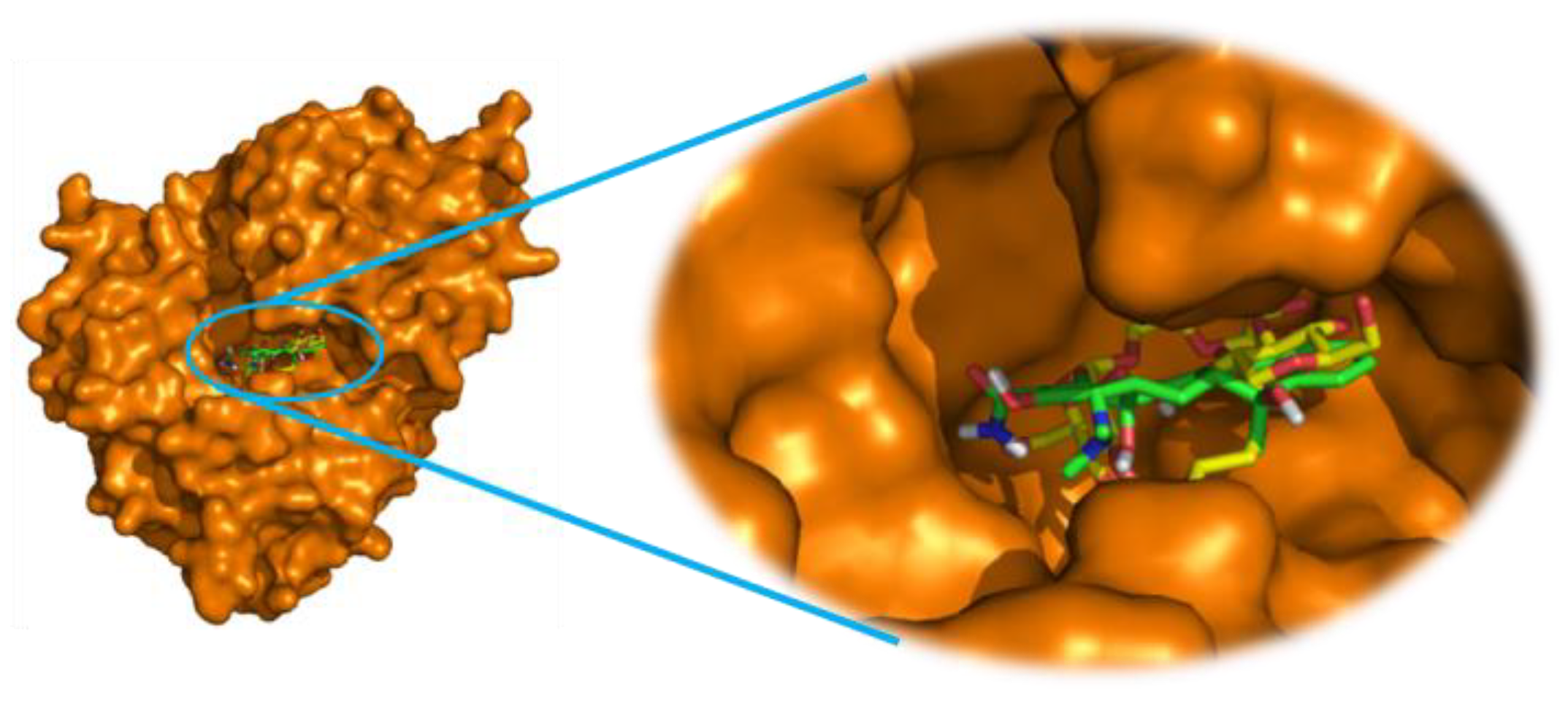 Molecules 28 04655 g002 Molecules 28 04655 g002