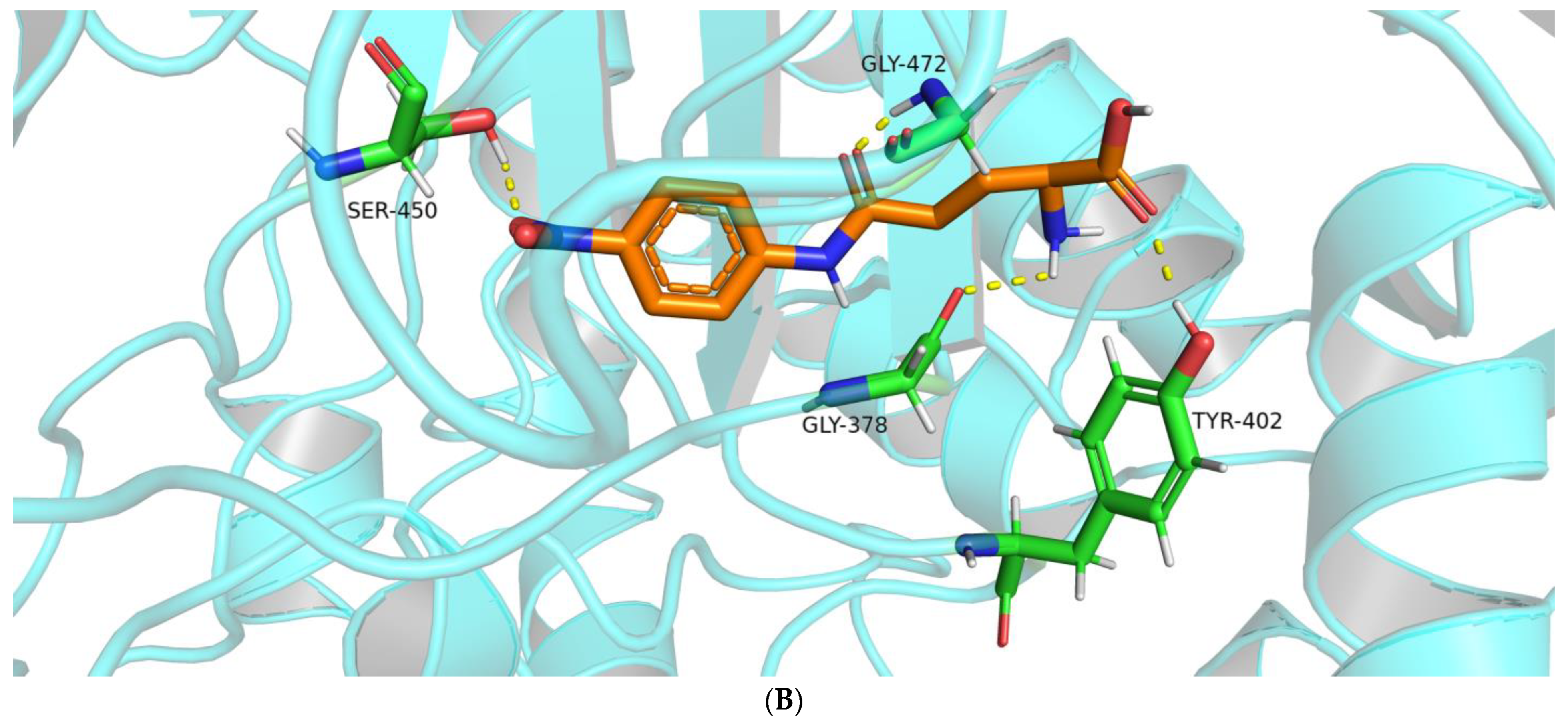 Molecules 28 04657 g002b