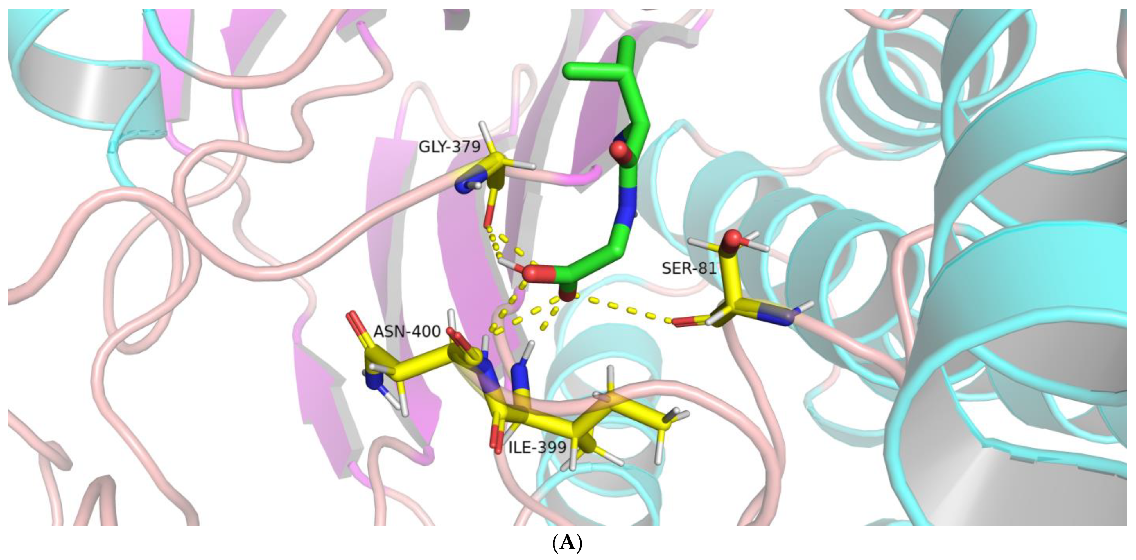 Molecules 28 04657 g005a