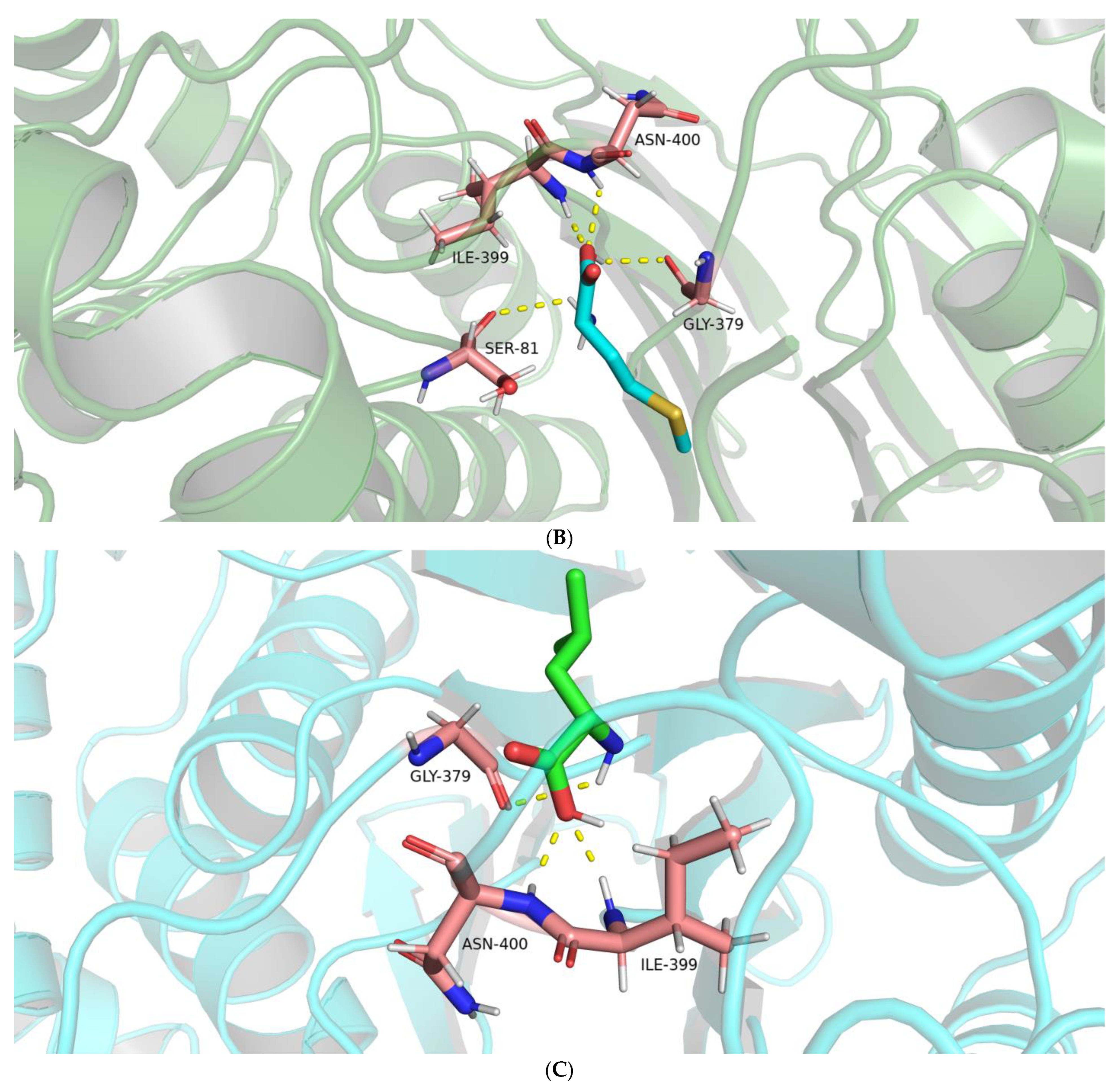 Molecules 28 04657 g005b
