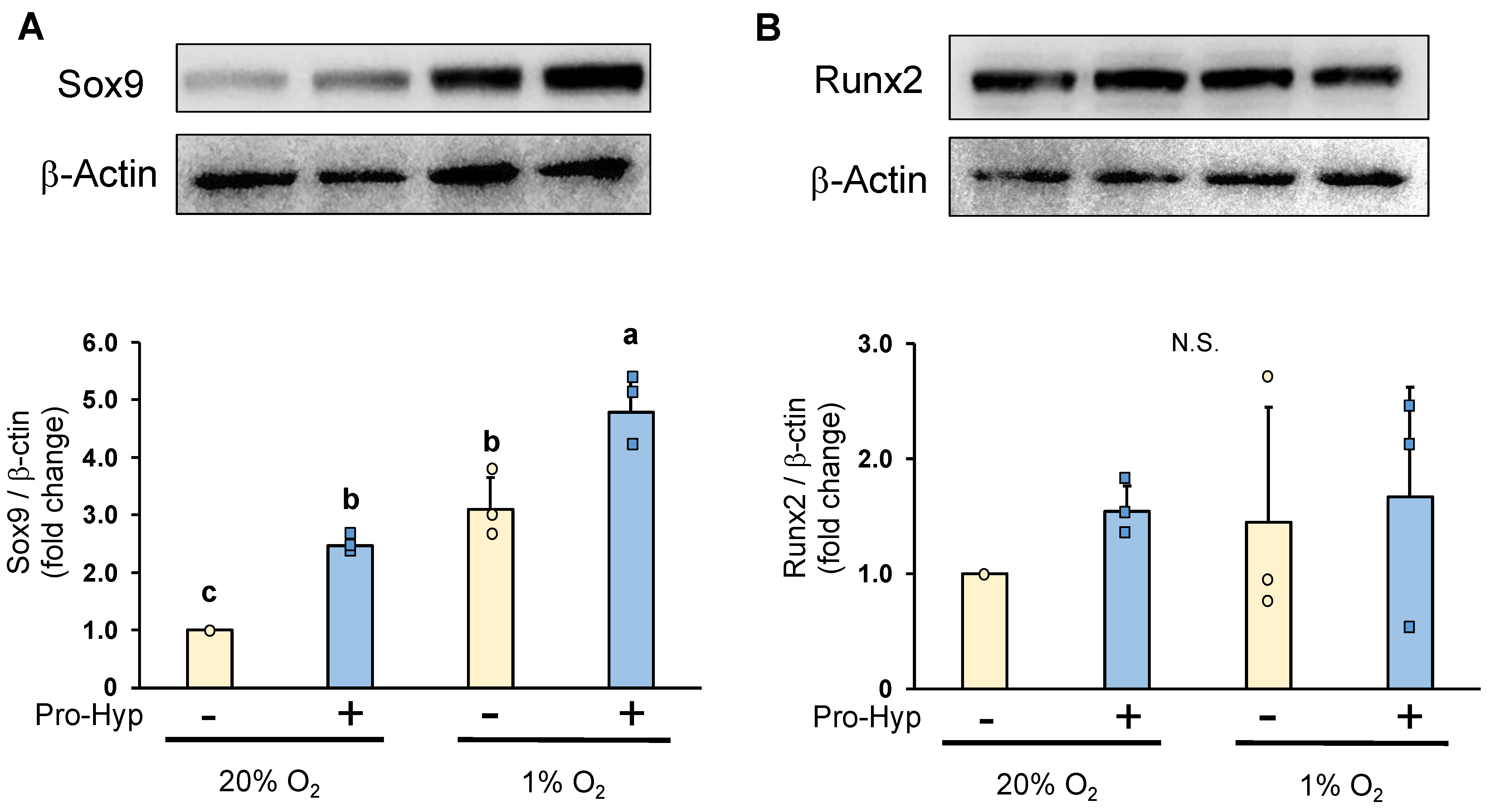 Molecules 28 04664 g003
