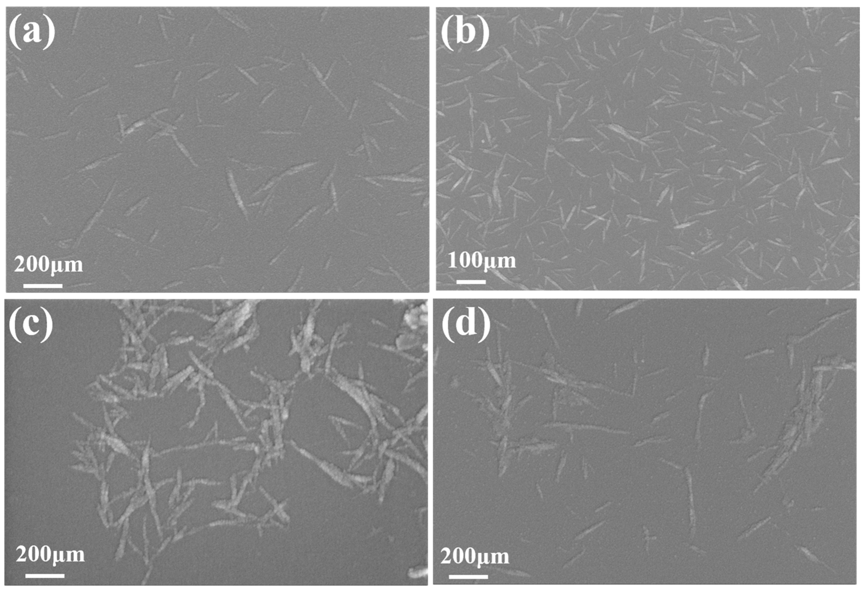 Molecules 28 04667 g004
