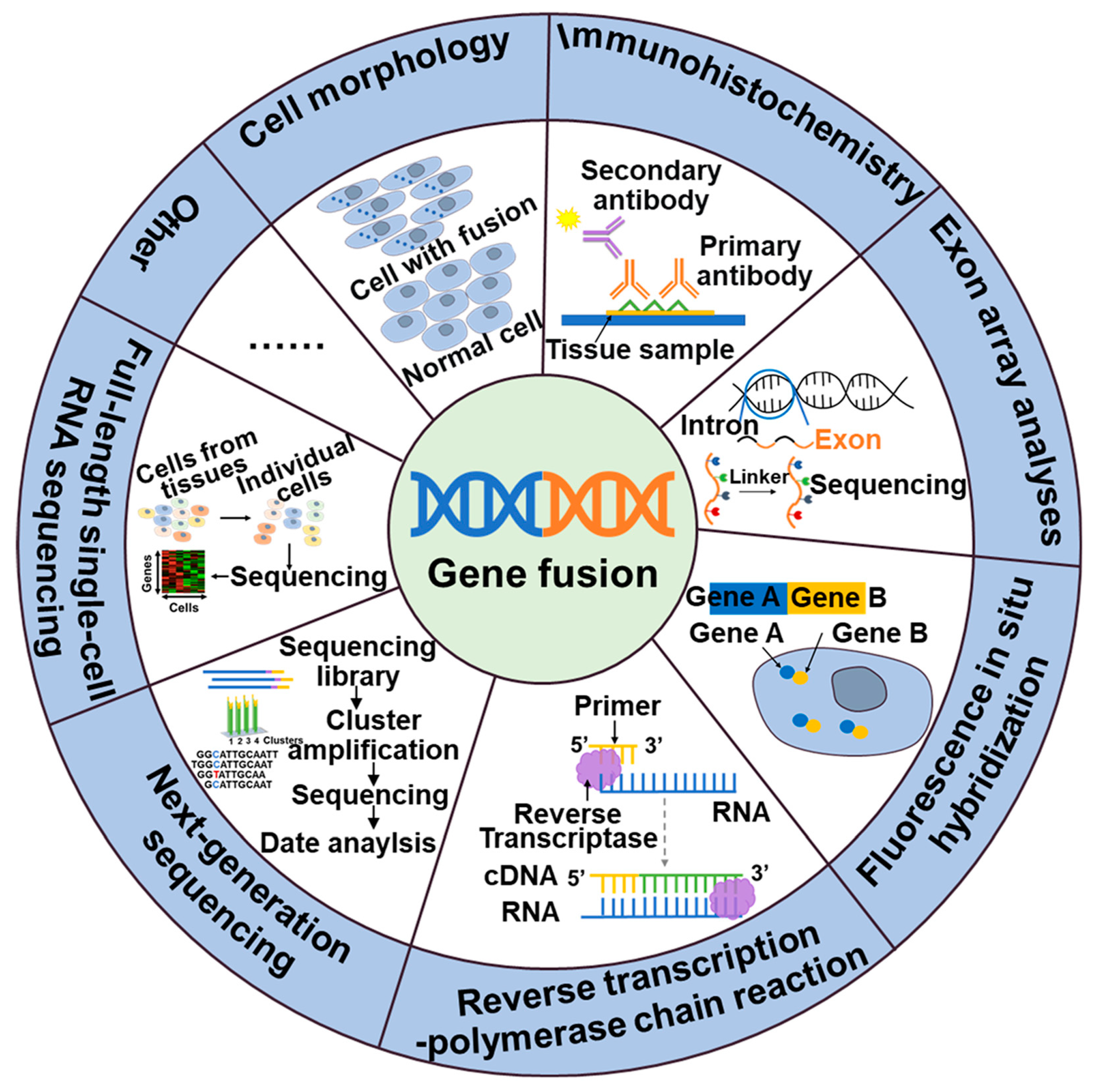 Molecules 28 04672 g002