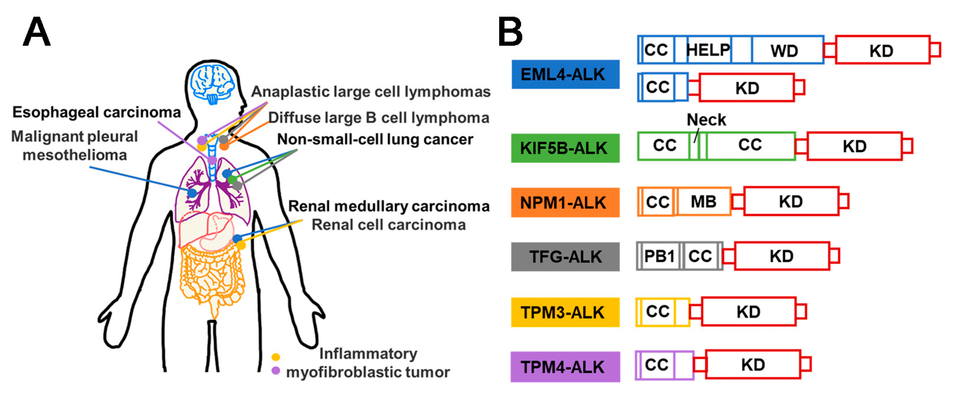 Molecules 28 04672 g004