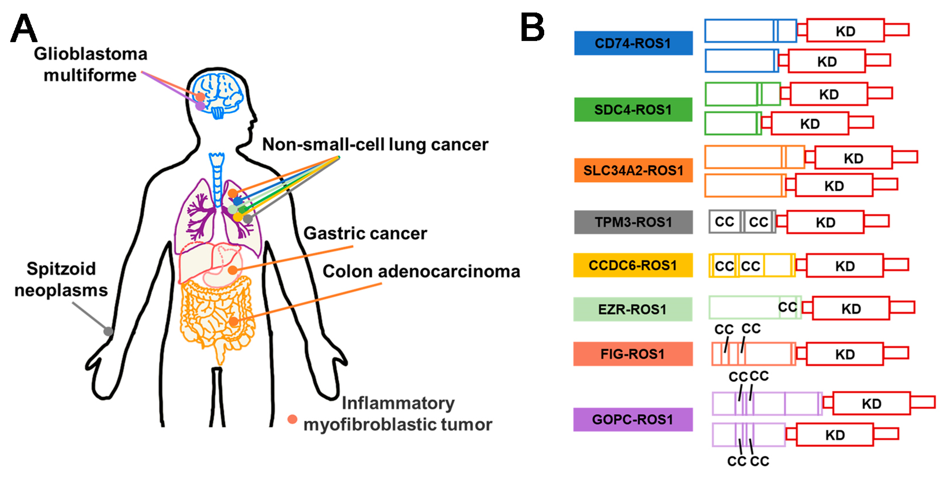 Molecules 28 04672 g006
