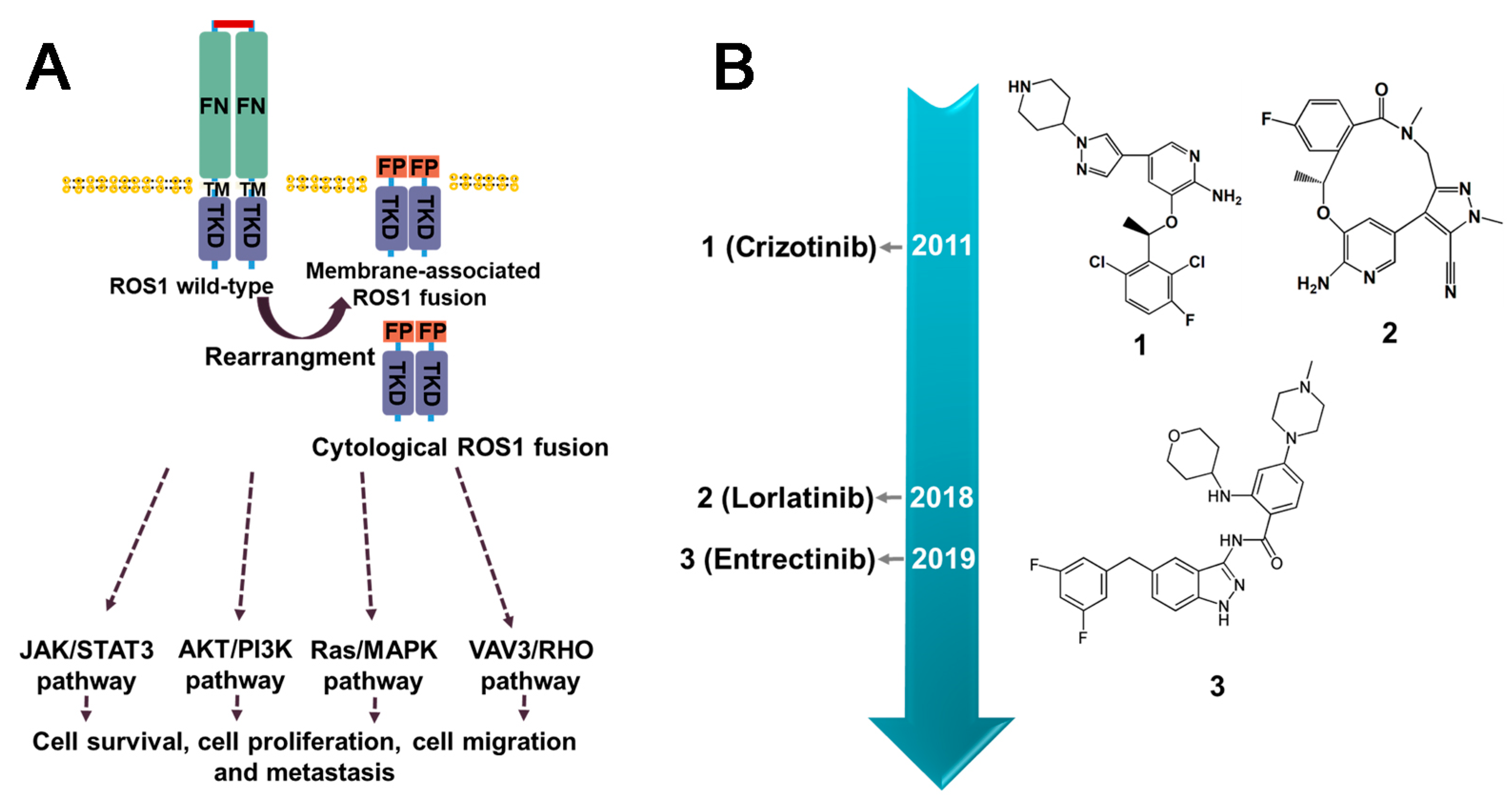 Molecules 28 04672 g007