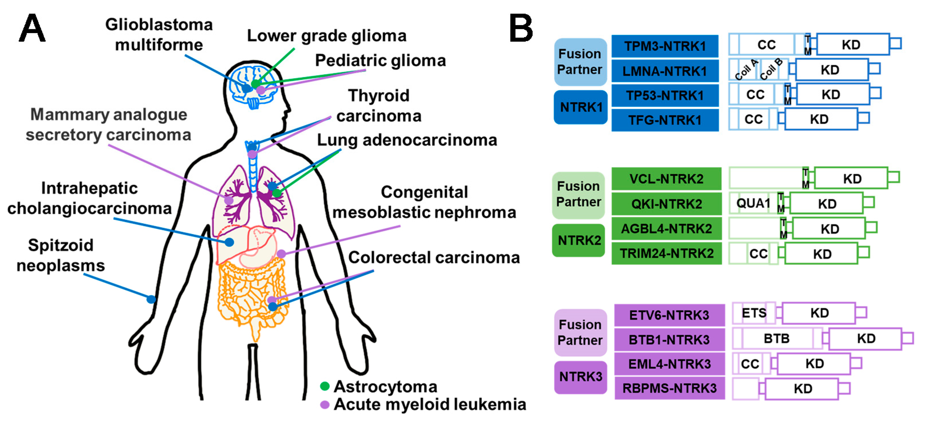 Molecules 28 04672 g008