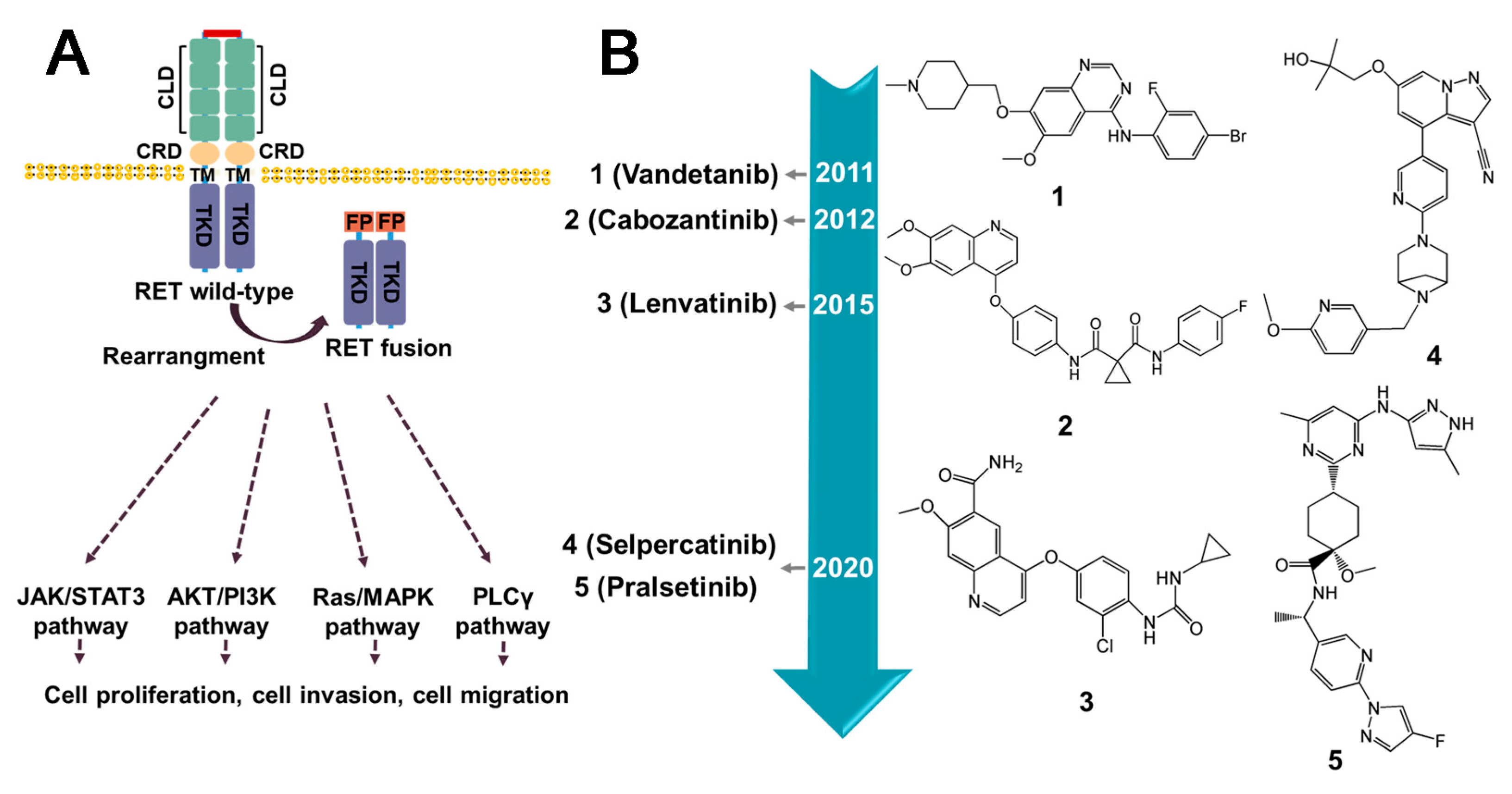 Molecules 28 04672 g011