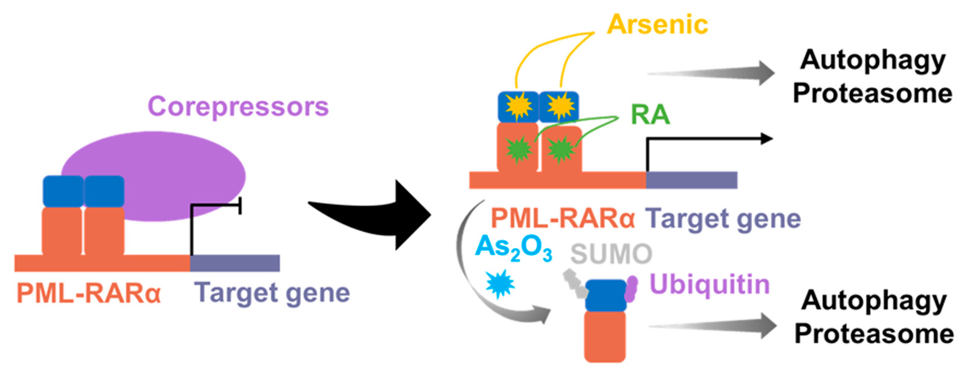 Molecules 28 04672 g013