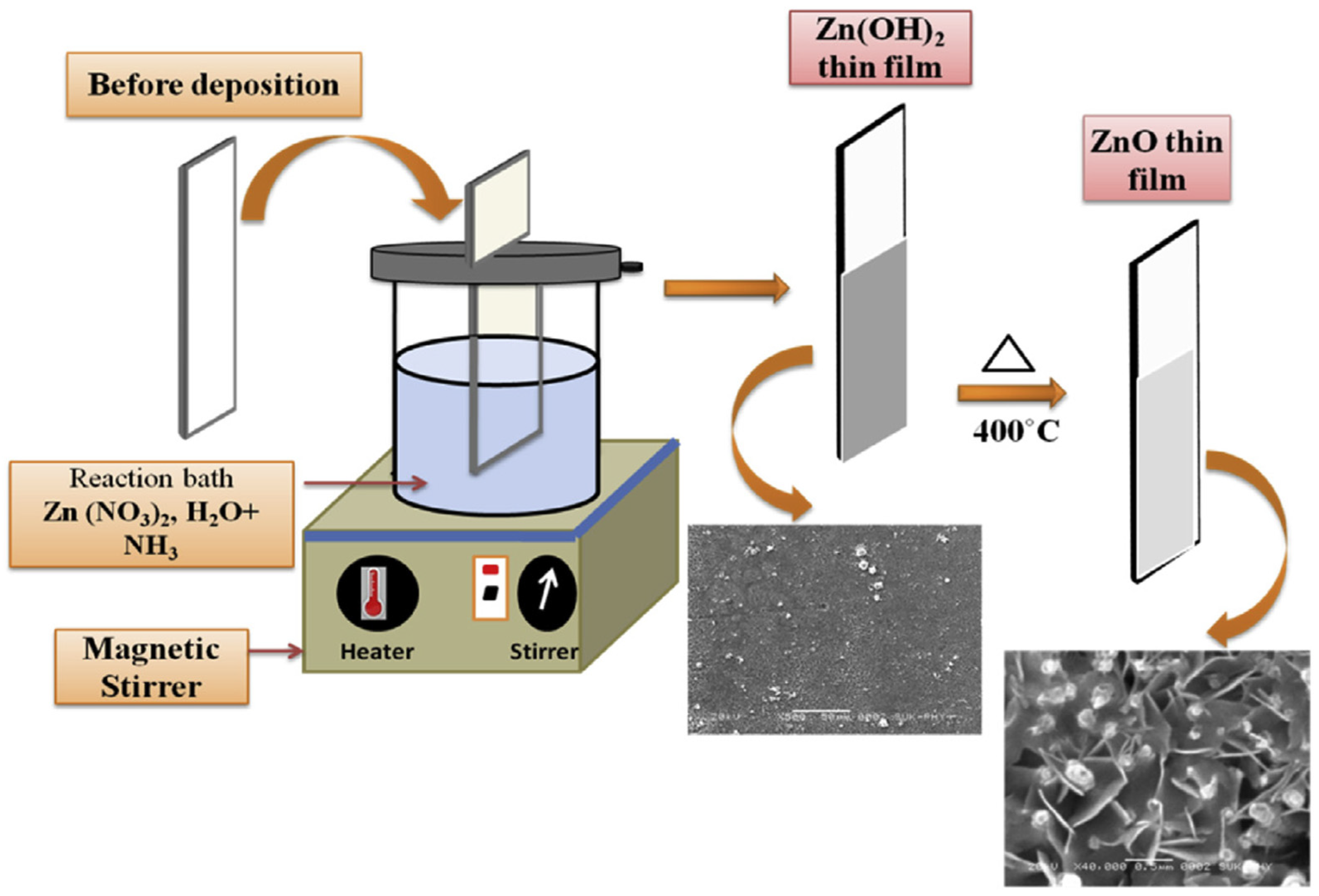 Molecules 28 04674 g003 Molecules 28 04674 g003