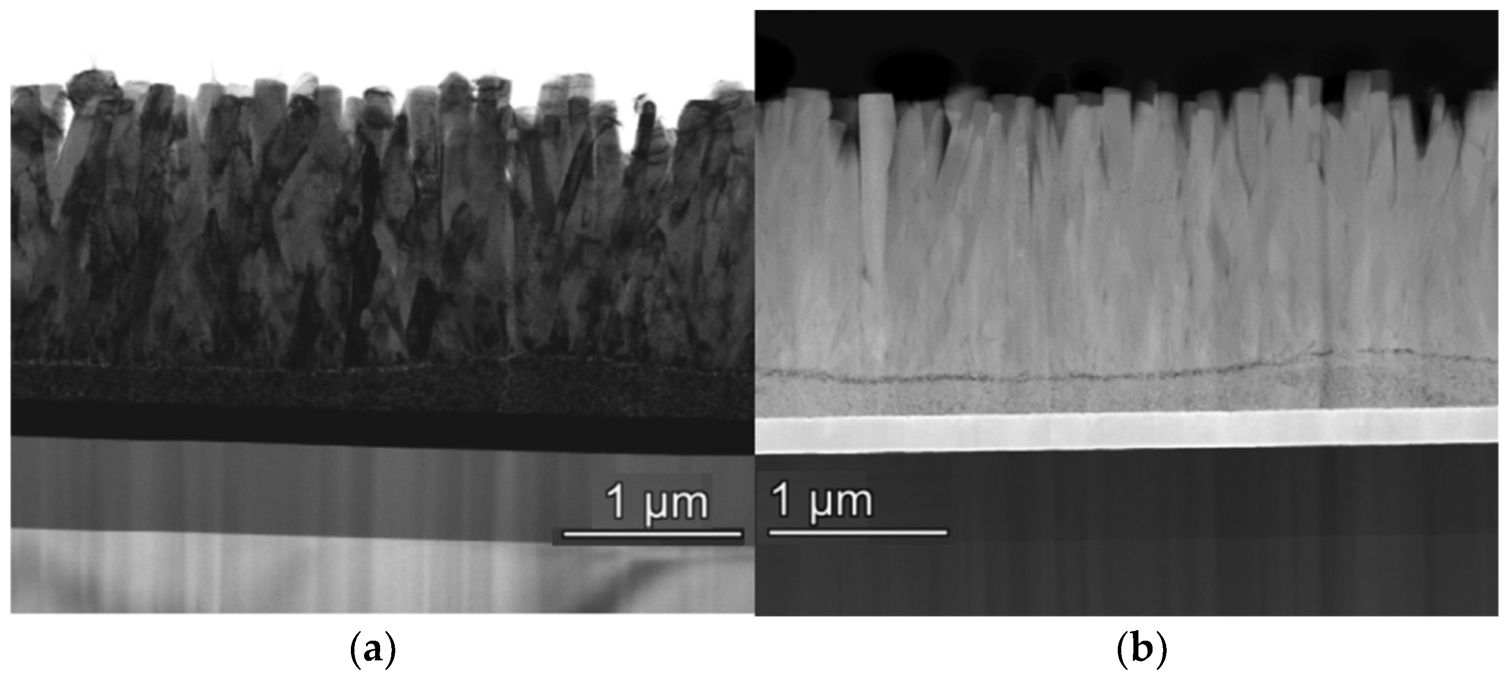 Molecules 28 04674 g005 Molecules 28 04674 g005
