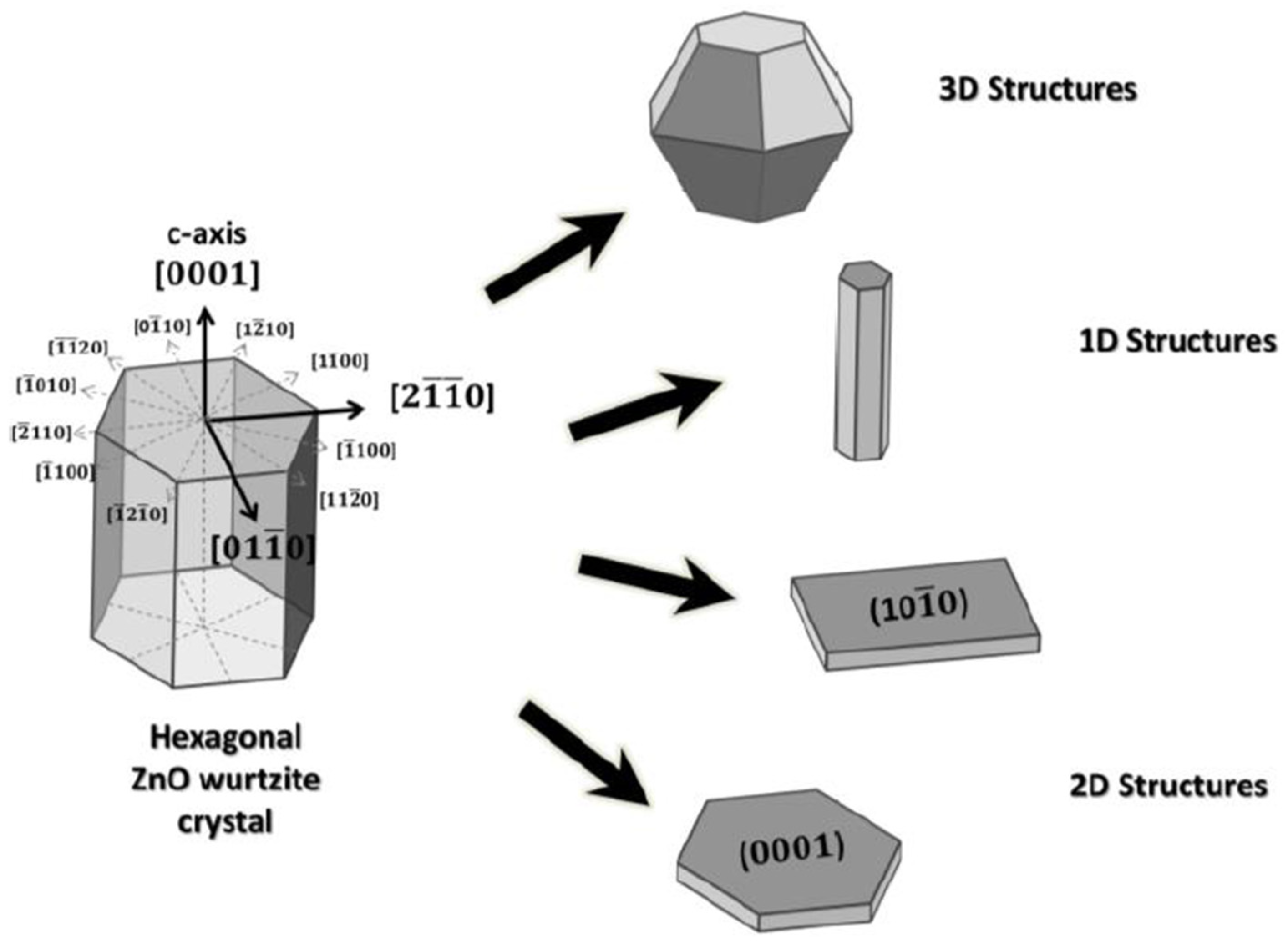 Molecules 28 04674 g006 Molecules 28 04674 g006