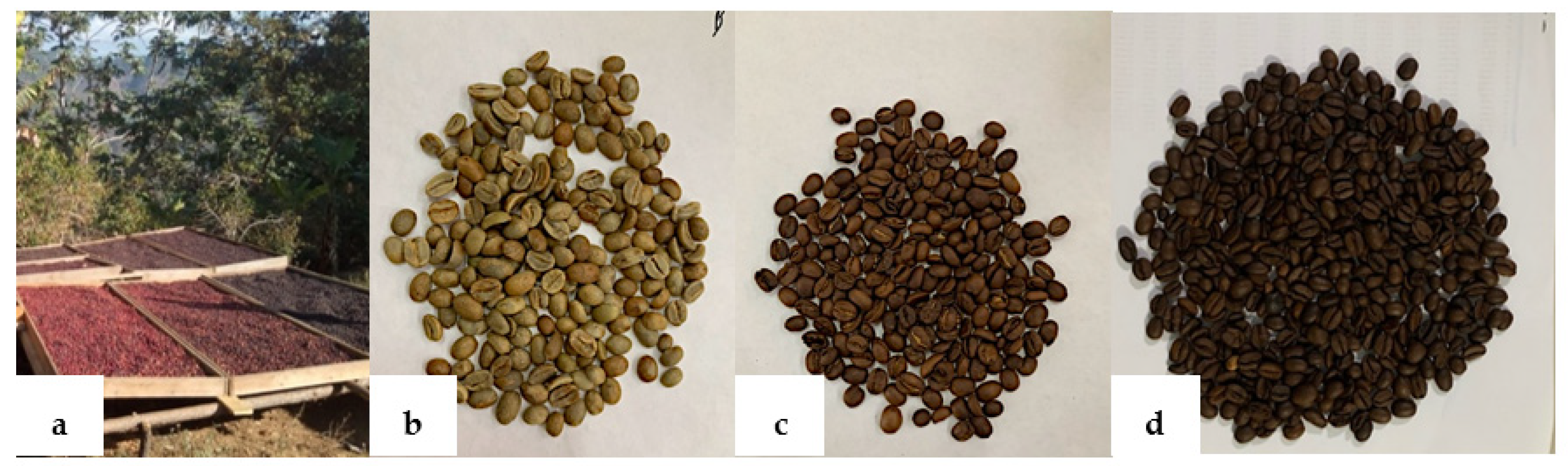 Molecules 28 04685 g004