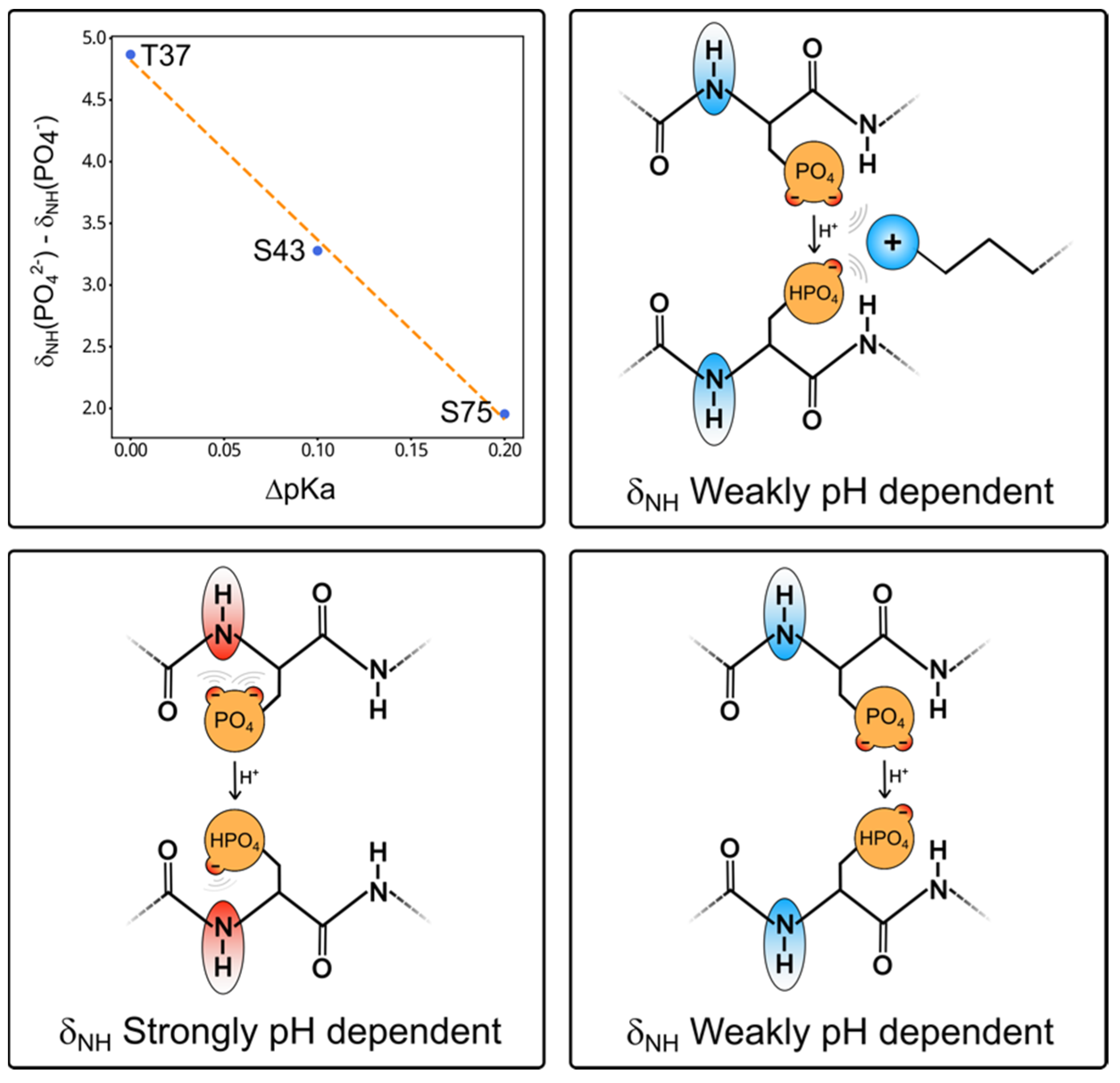 Molecules 28 04686 g005 Molecules 28 04686 g005