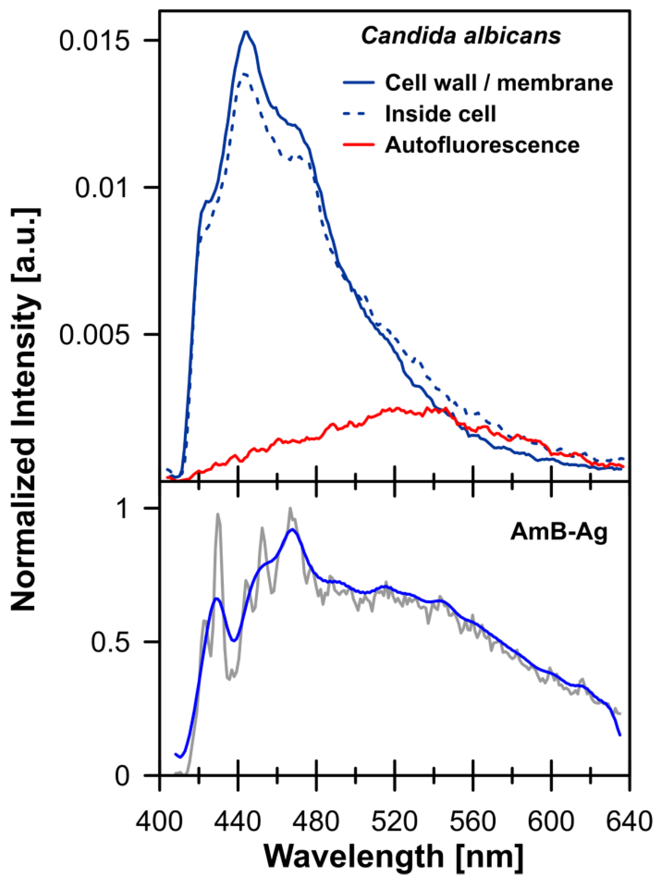 Molecules 28 04687 g002 Molecules 28 04687 g002