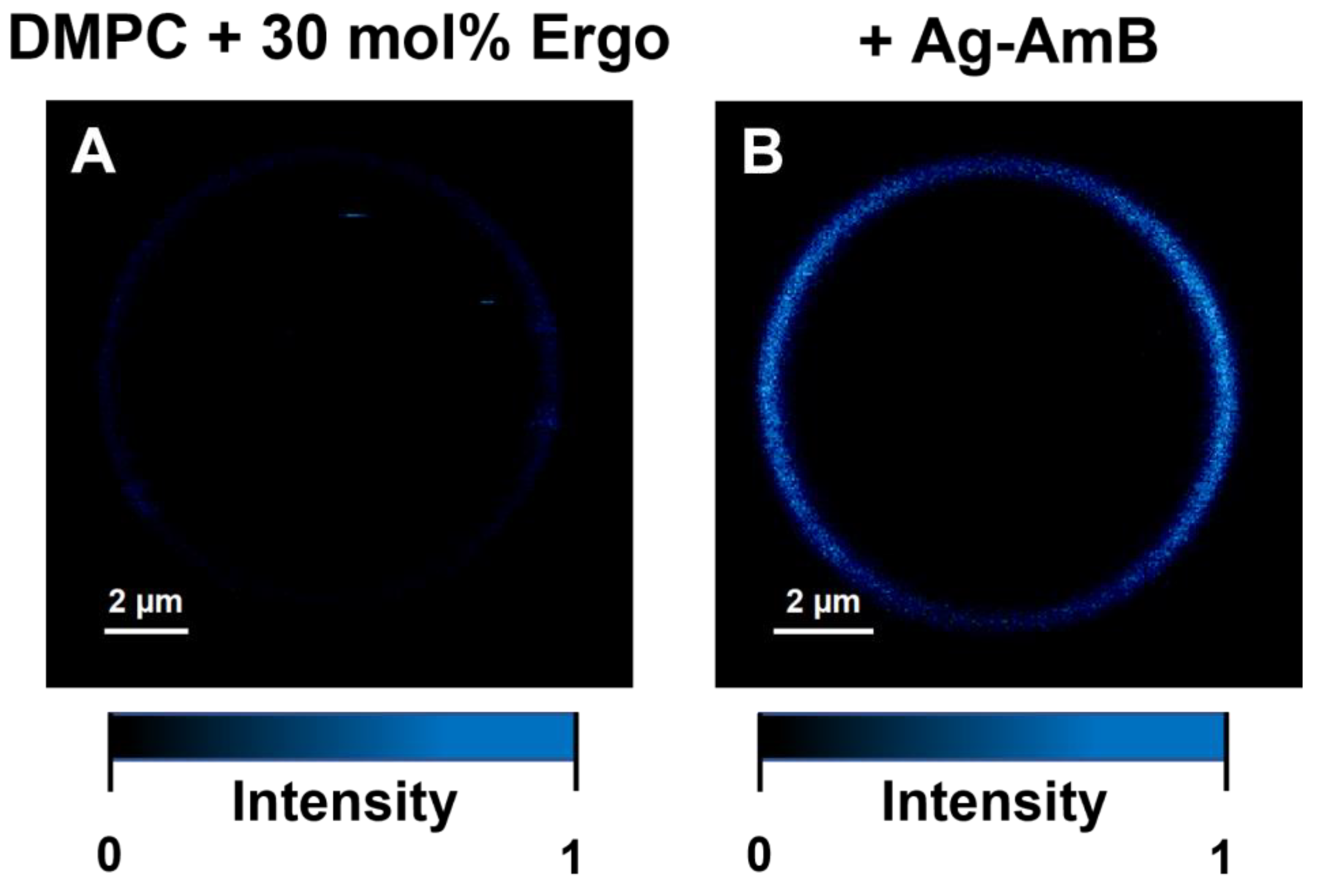 Molecules 28 04687 g003 Molecules 28 04687 g003