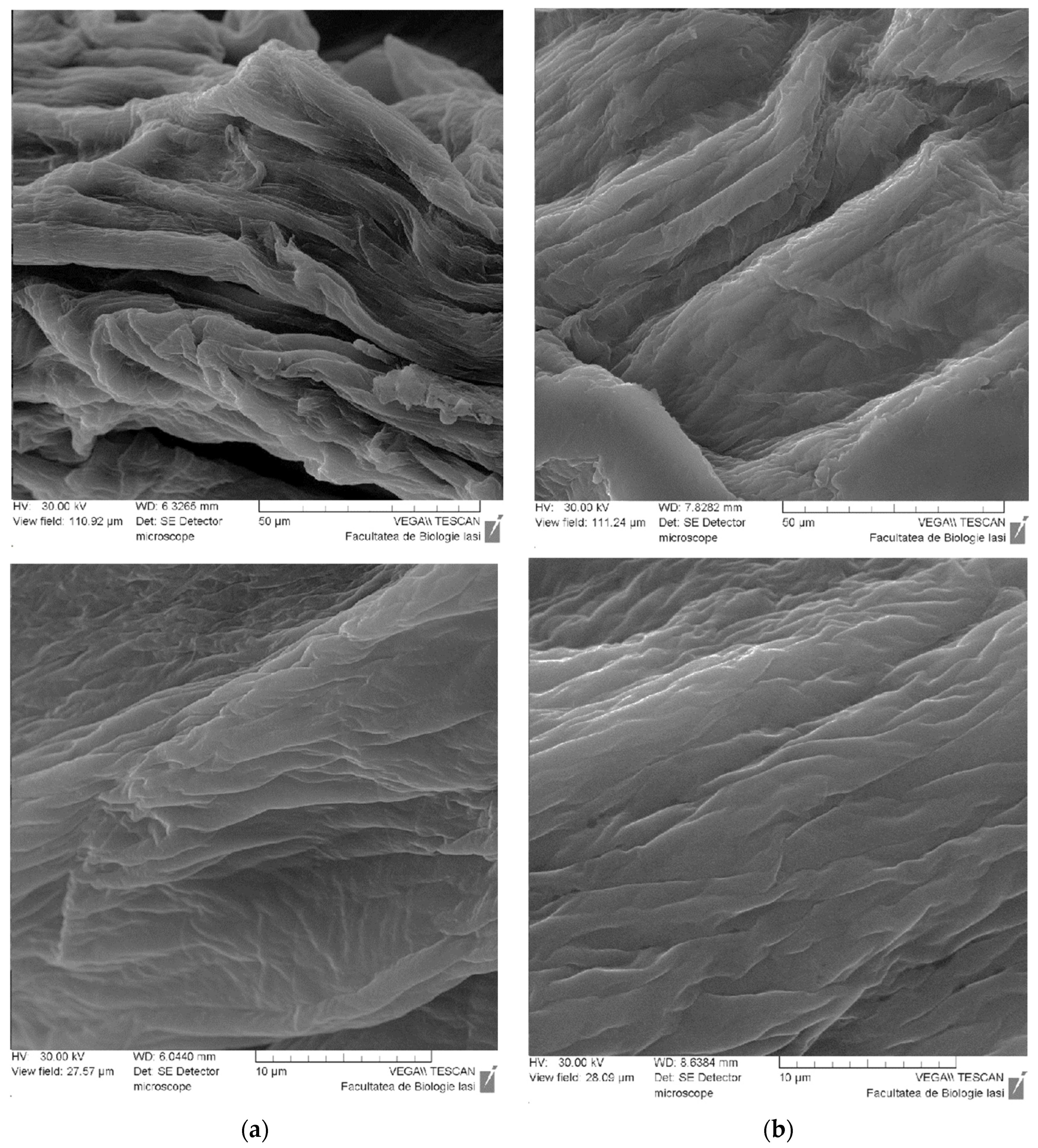 Molecules 28 04695 g003