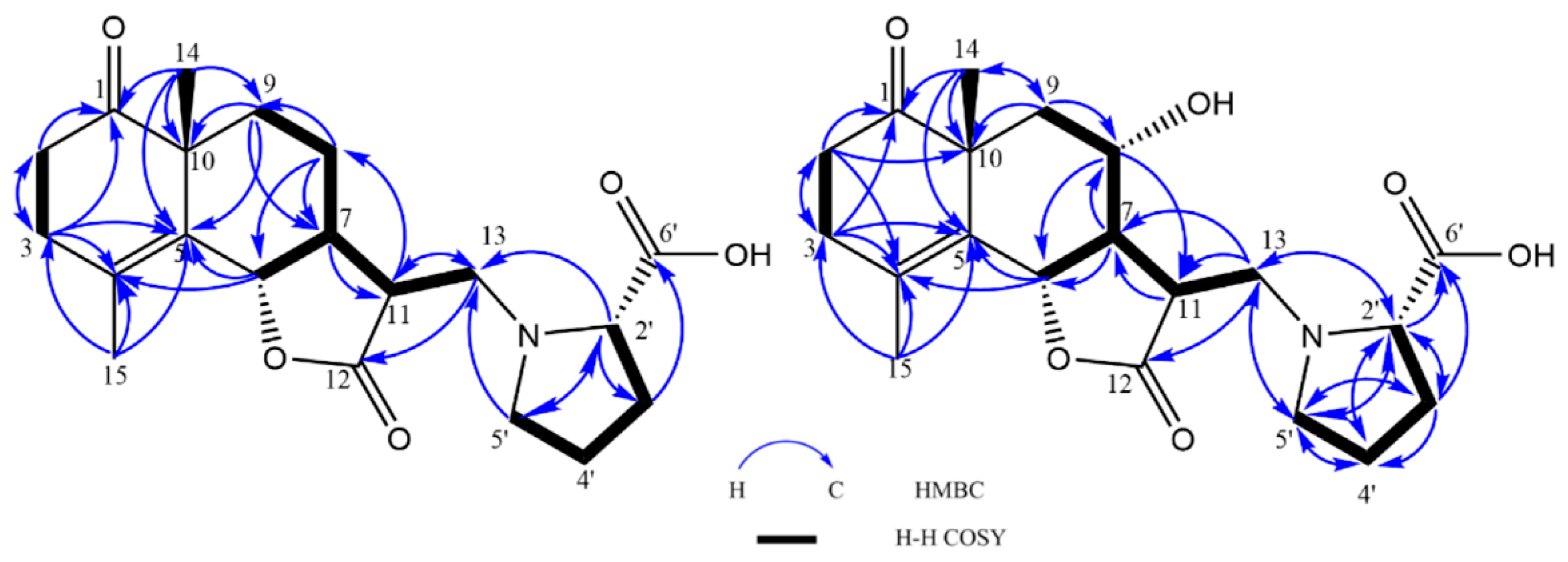 Molecules 28 04696 g003