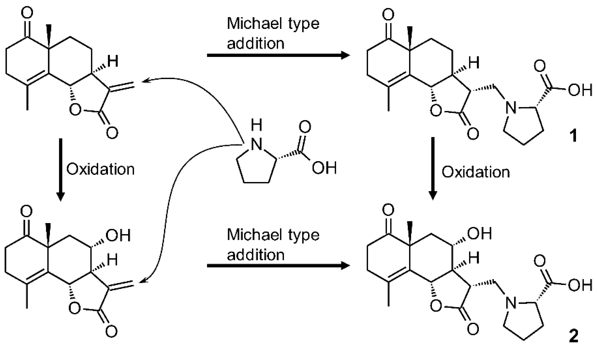Molecules 28 04696 g007