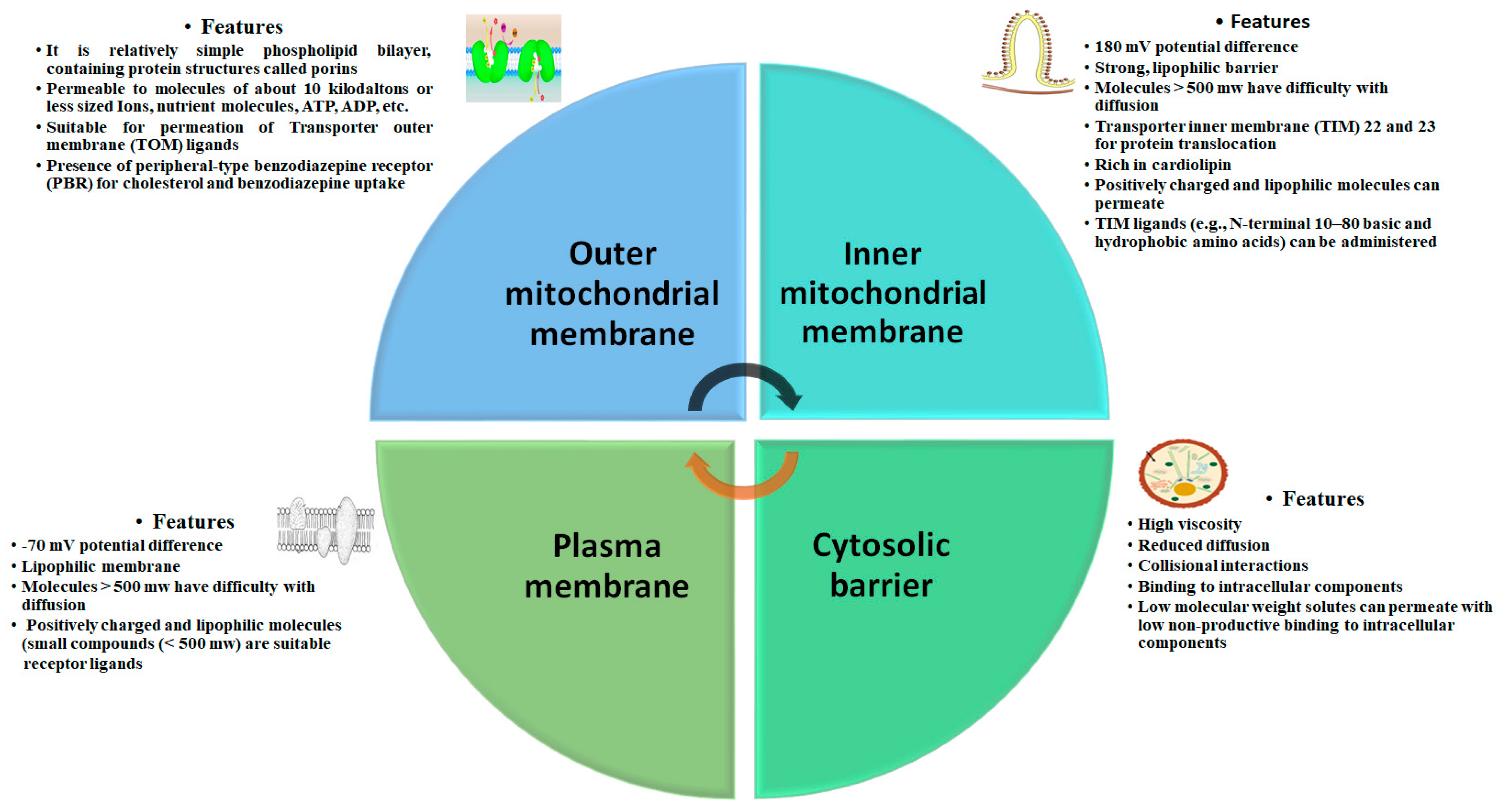 Molecules 28 04701 g001