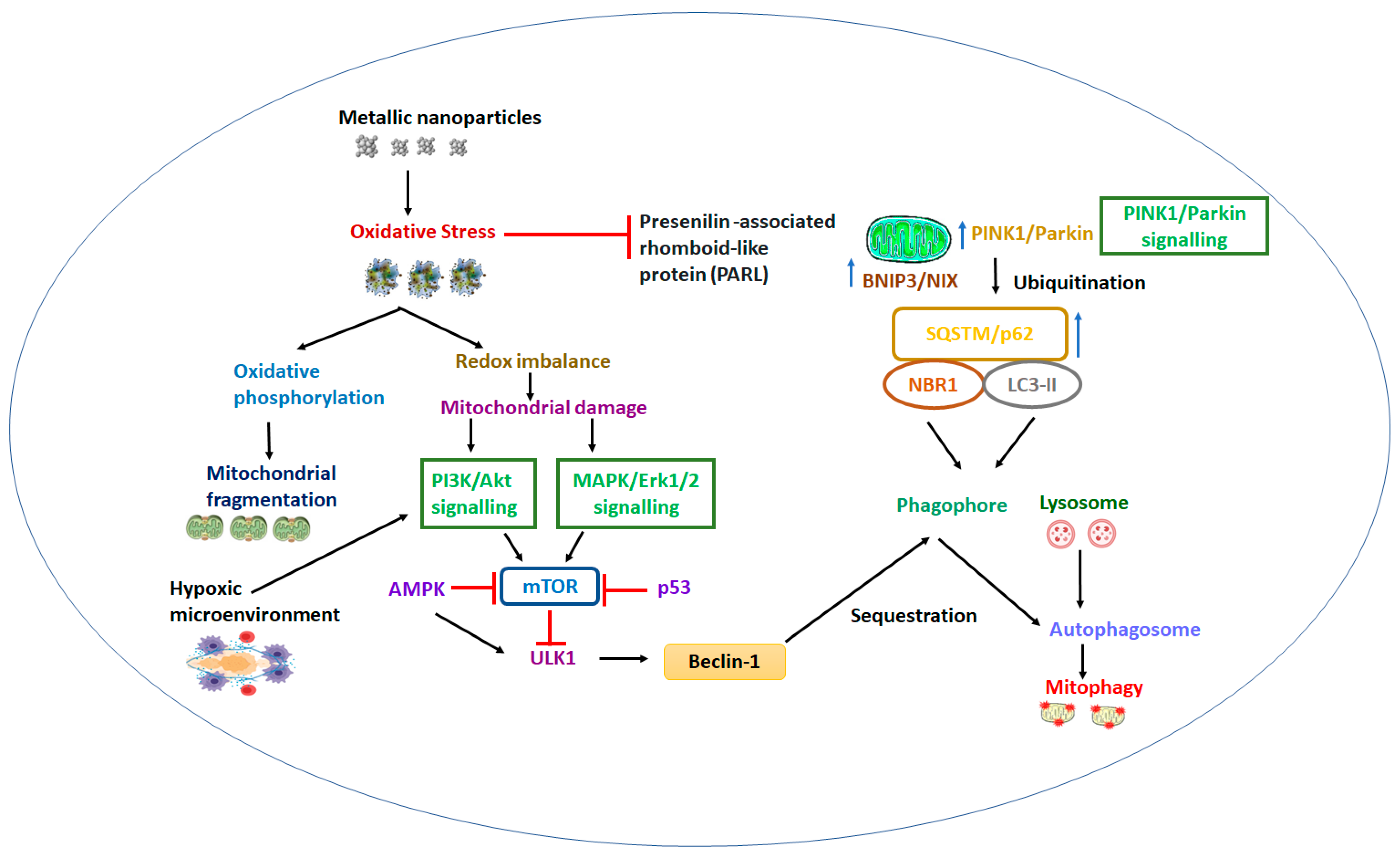 Molecules 28 04701 g003