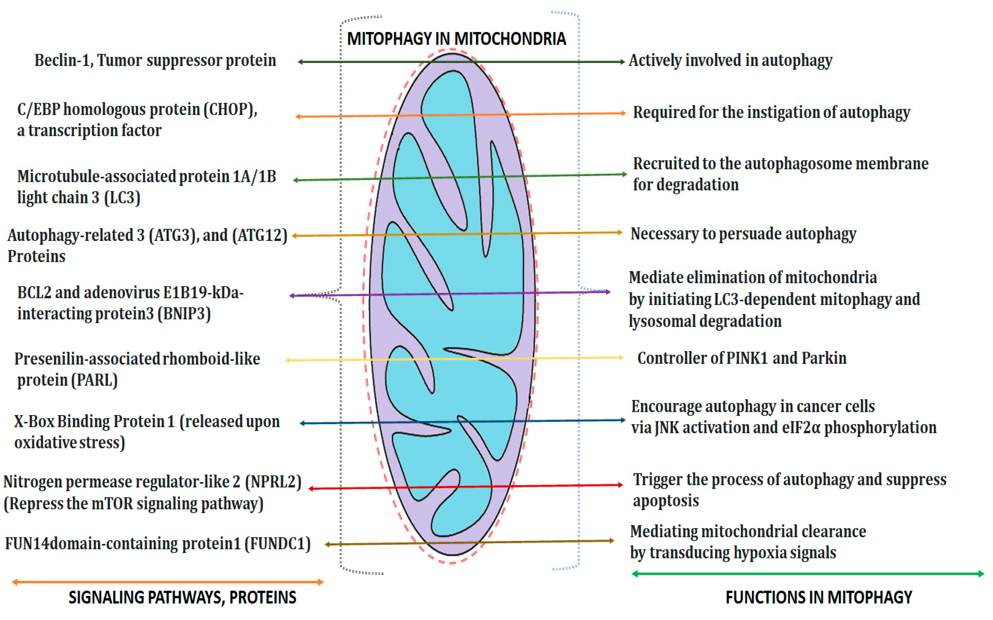 Molecules 28 04701 g004