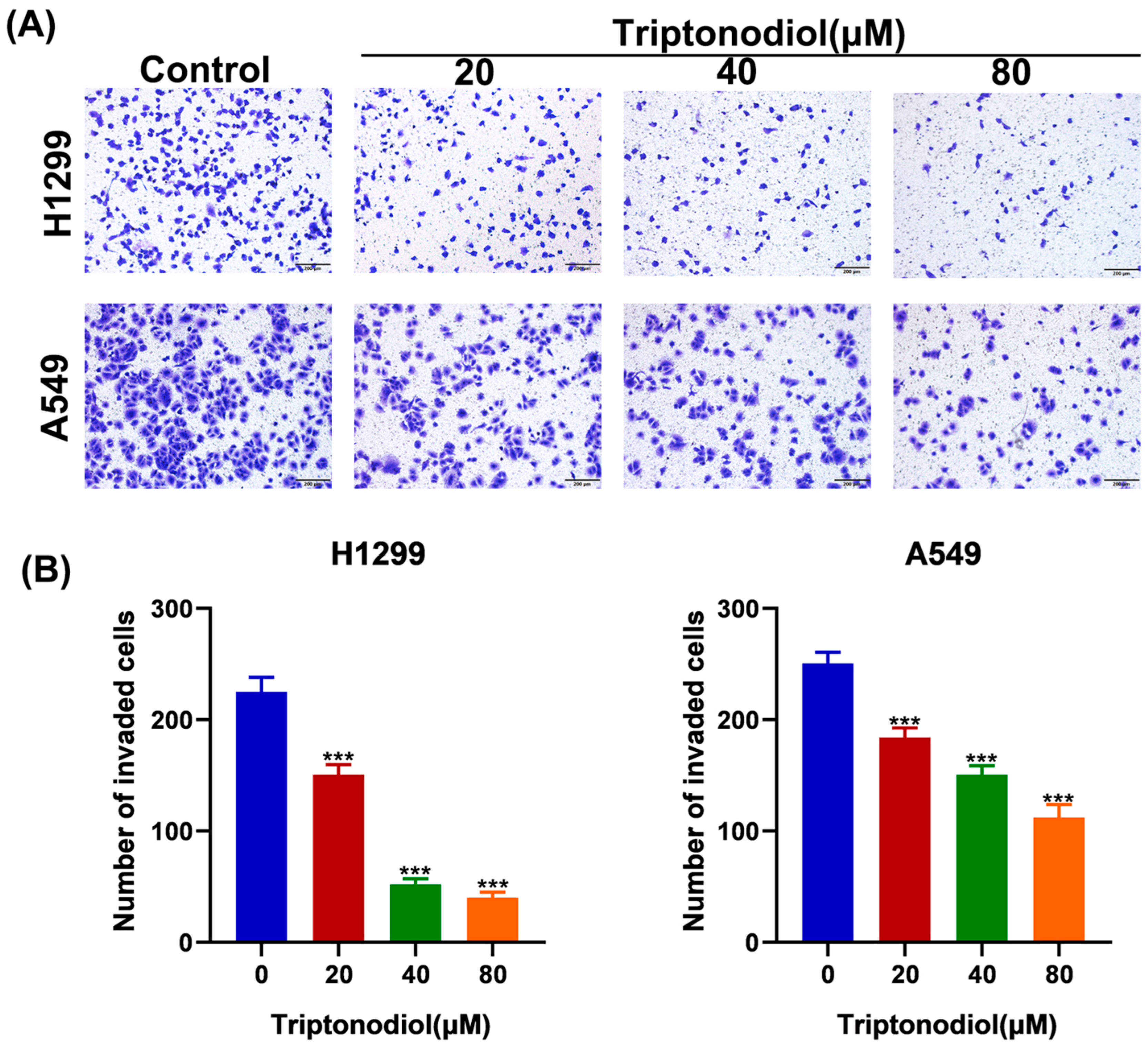 Molecules 28 04708 g003