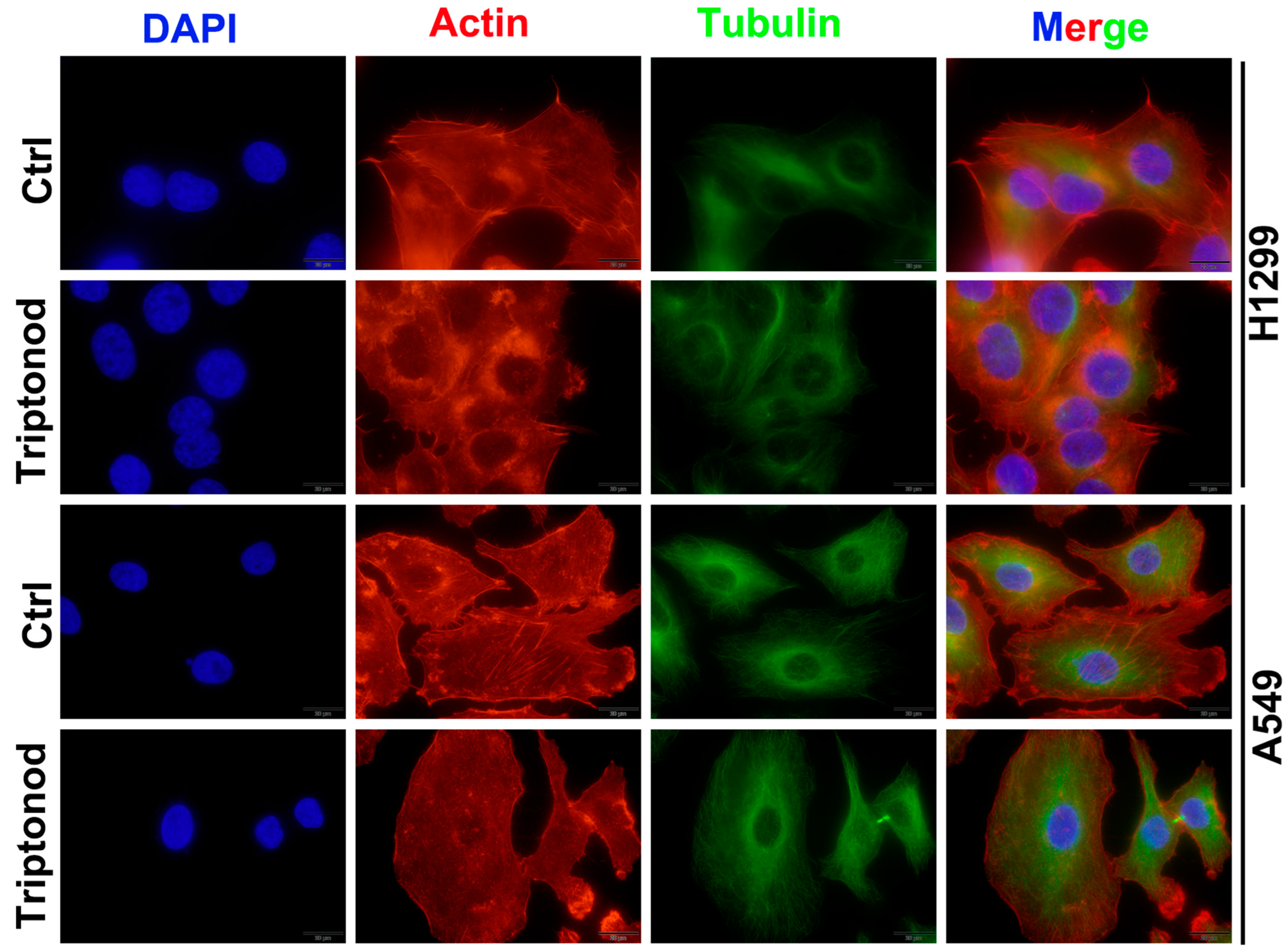 Molecules 28 04708 g004