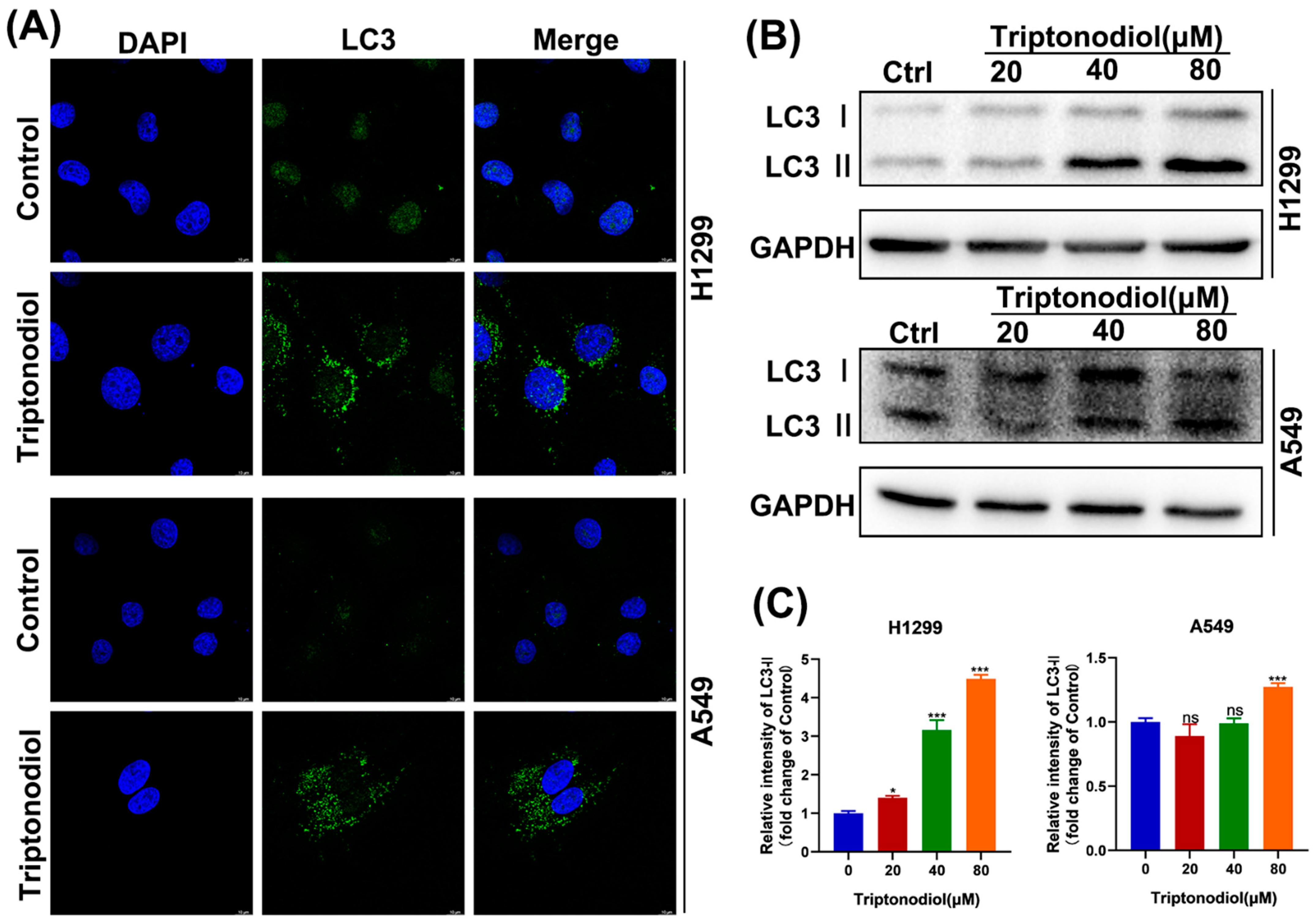 Molecules 28 04708 g005