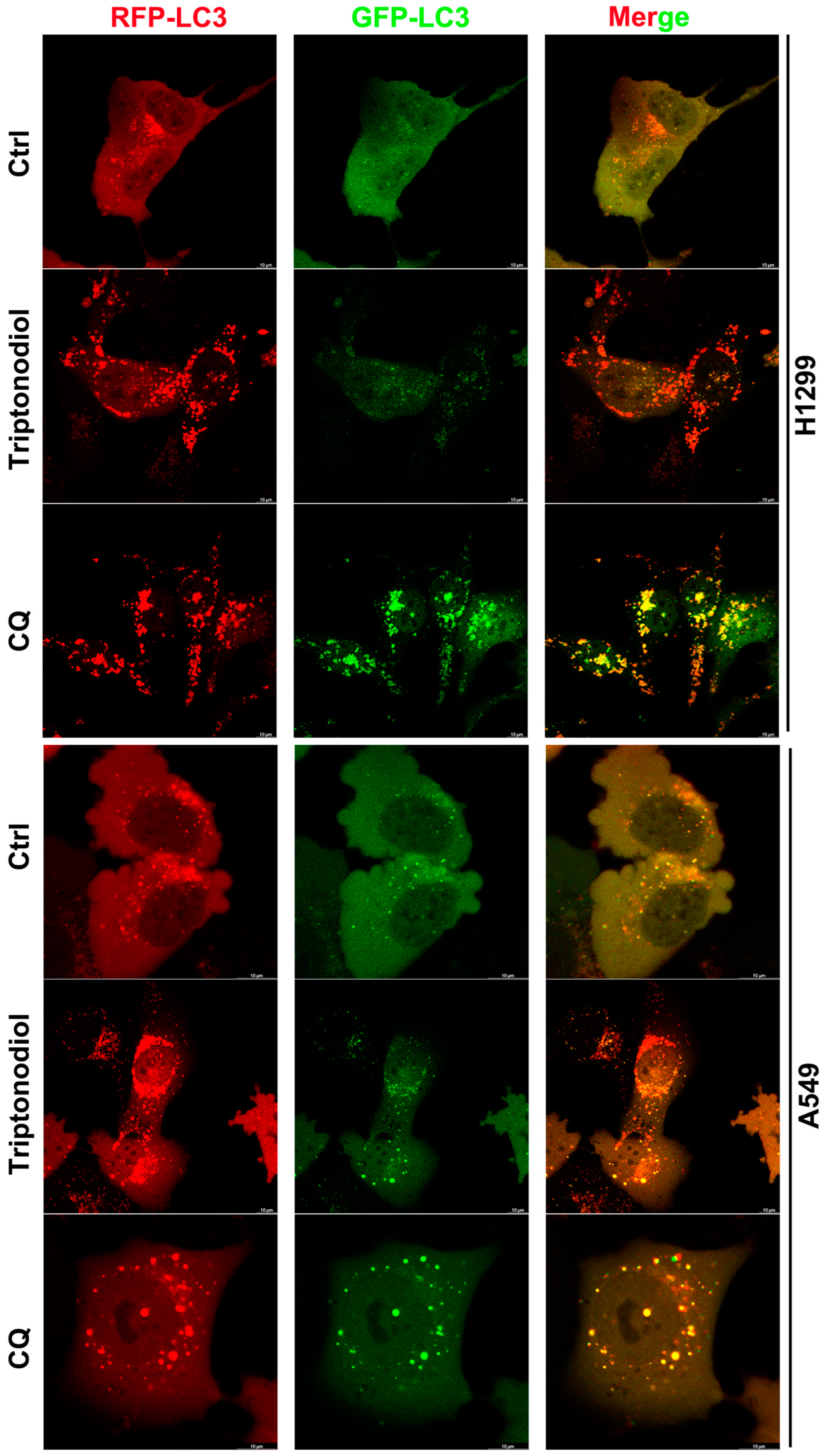 Molecules 28 04708 g006