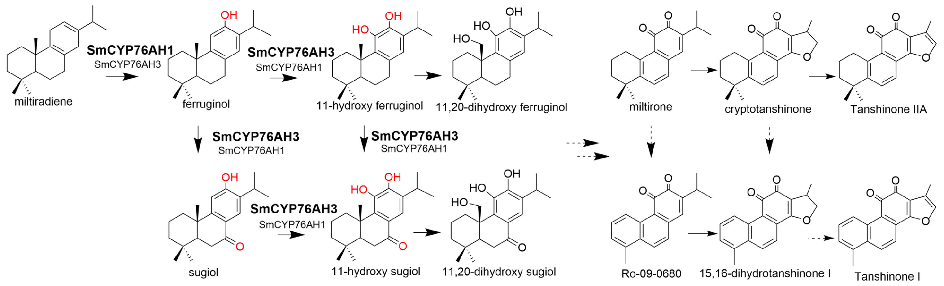 Molecules 28 04711 g001 Molecules 28 04711 g001