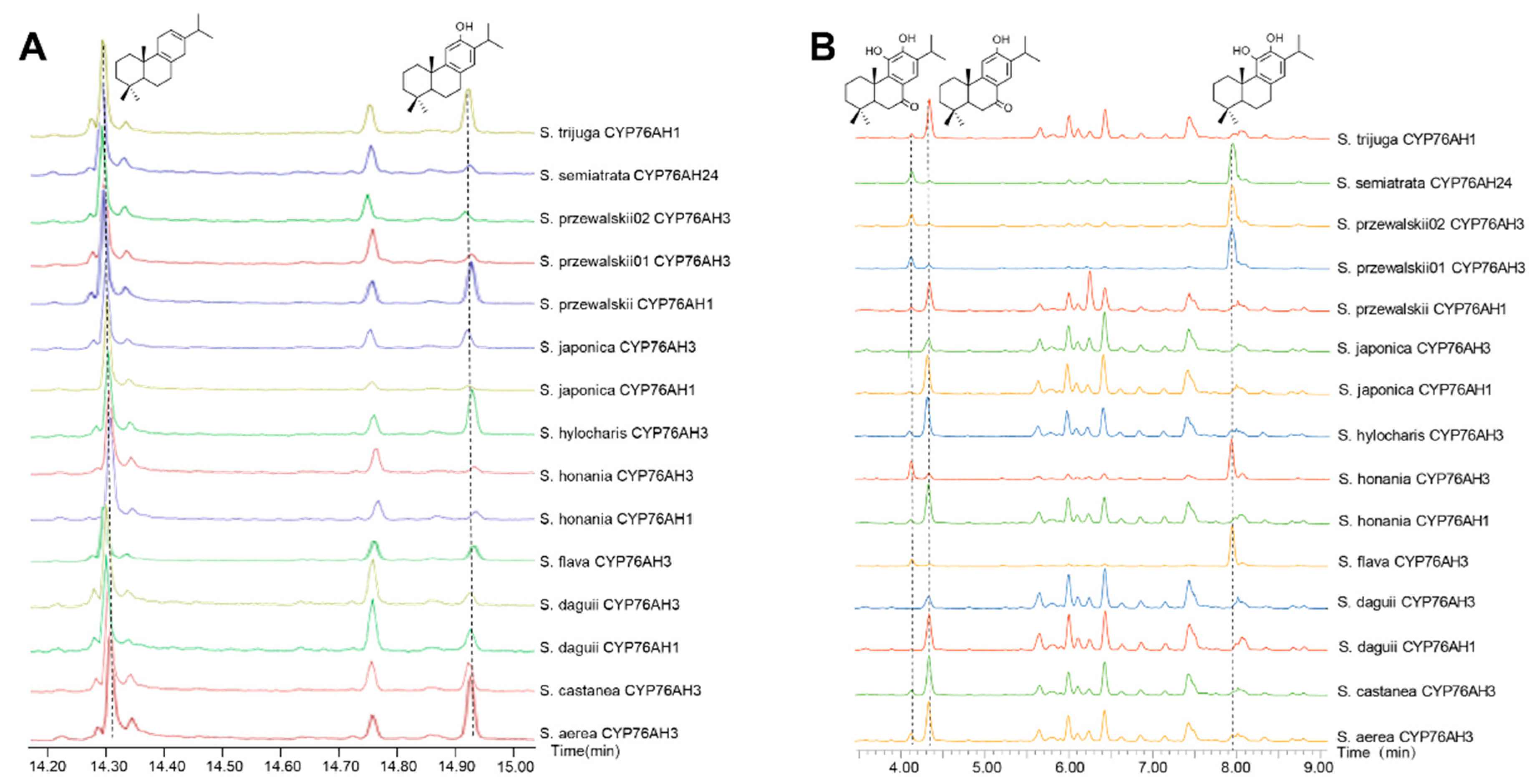 Molecules 28 04711 g004 Molecules 28 04711 g004
